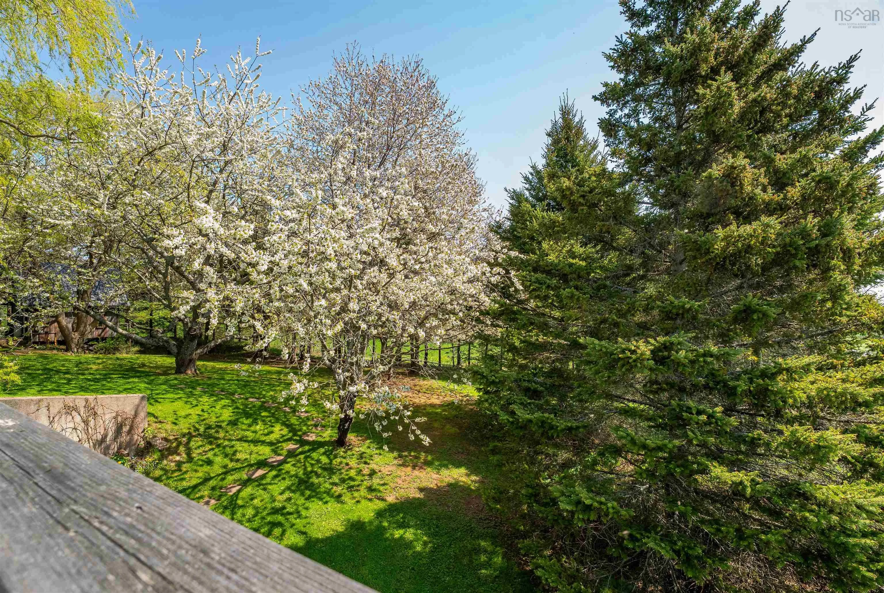 2285 Highway 221, Dempseys Corner, NS B0P 1C0, 3 Bedrooms Bedrooms, ,2 BathroomsBathrooms,Residential,For Sale,Highway 221,202426723