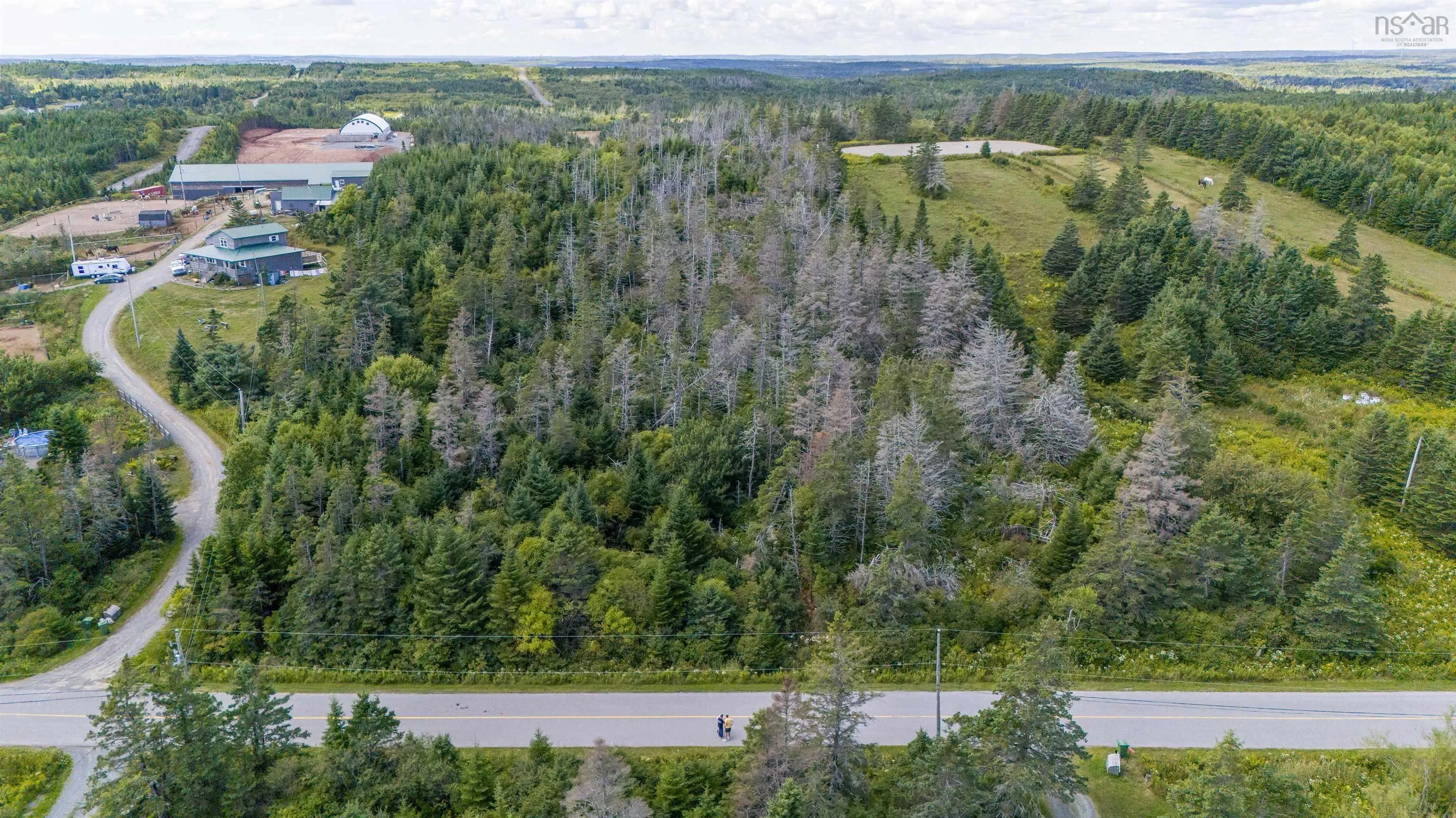 Lot 1 Conrod Road, Grand Desert, NS B0J 2L0, ,Land,For Sale,Conrod,202523160