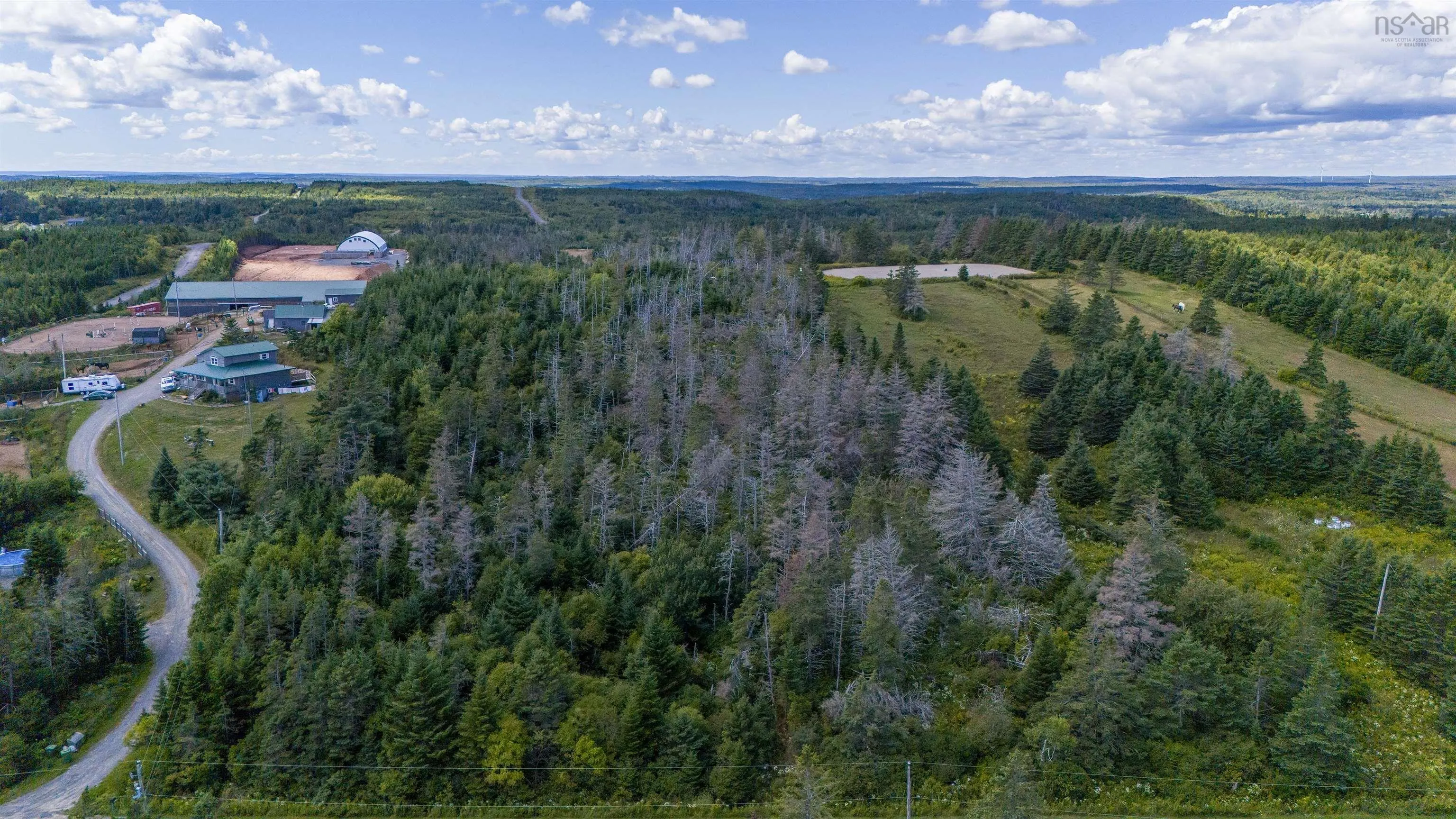 Lot 1 Conrod Road, Grand Desert, NS B0J 2L0, ,Land,For Sale,Conrod,202523160