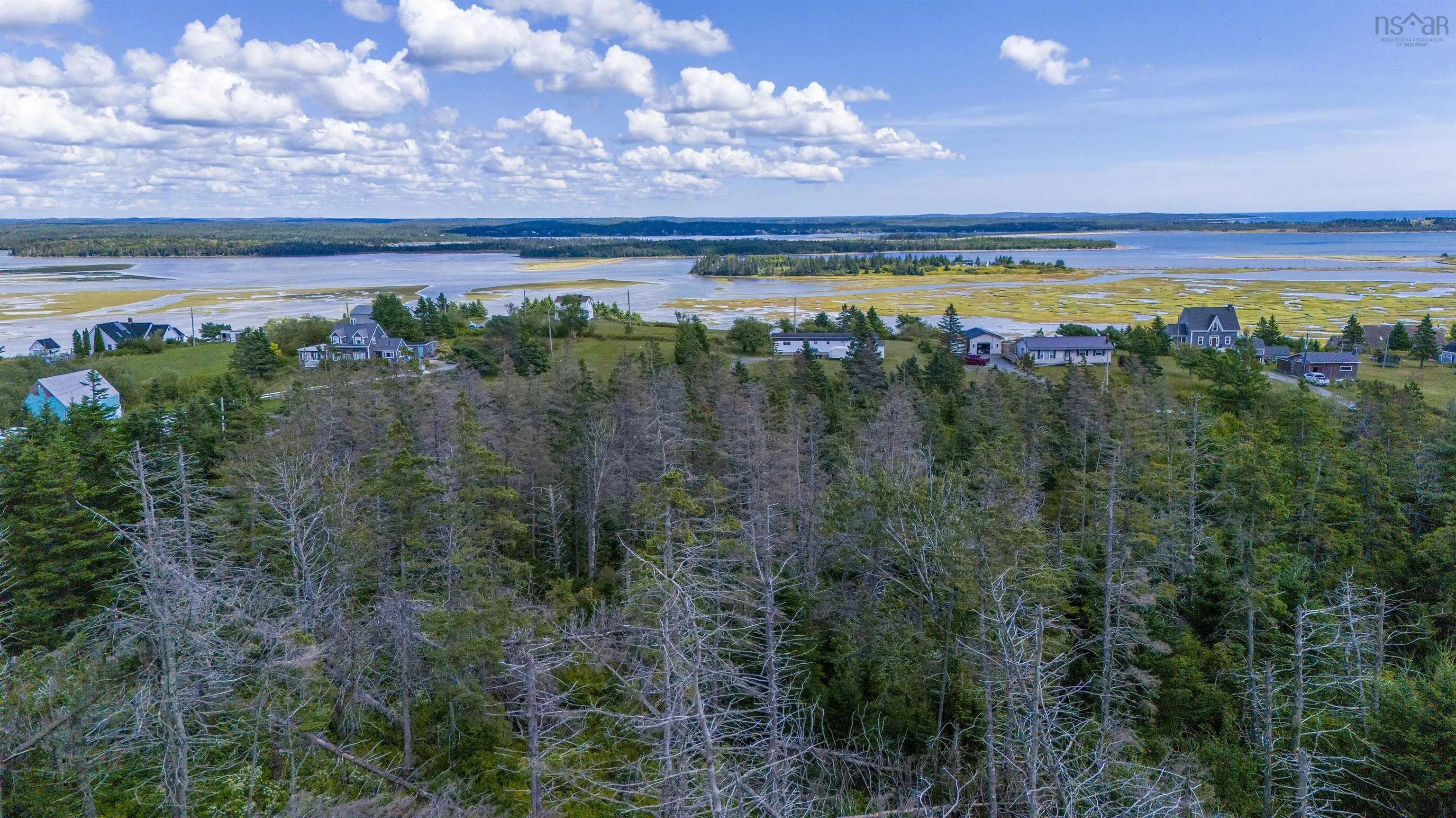 Lot 1 Conrod Road, Grand Desert, NS B0J 2L0, ,Land,For Sale,Conrod,202523160