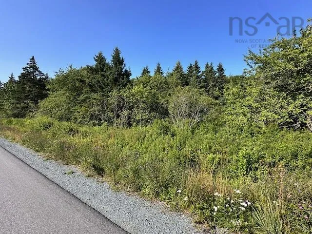 Shore Road Lot 3, Western Head, NS B0T 1K0, ,Land,For Sale,Shore,202518035