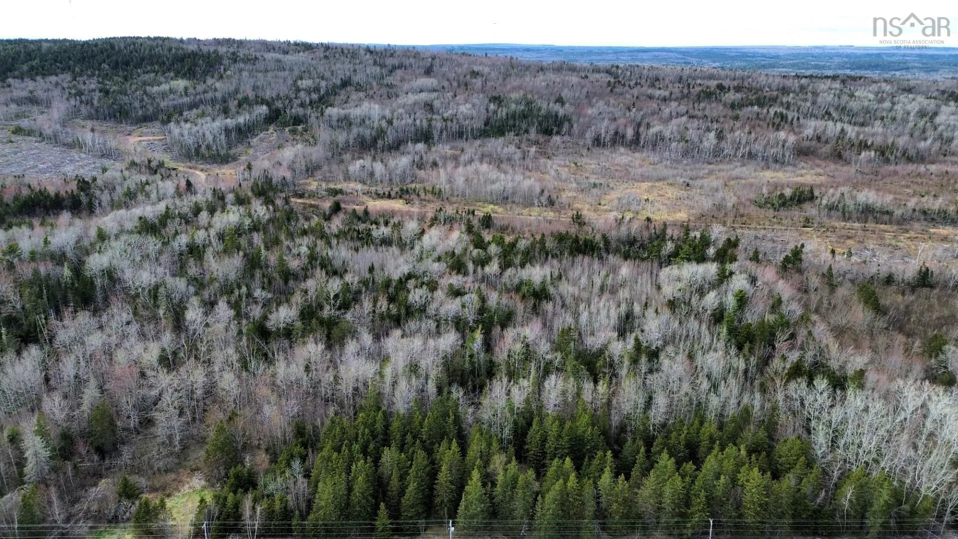 No 321 Highway, Valley Road Ns B0m 1v0, ,Land,For Sale,321,202411757