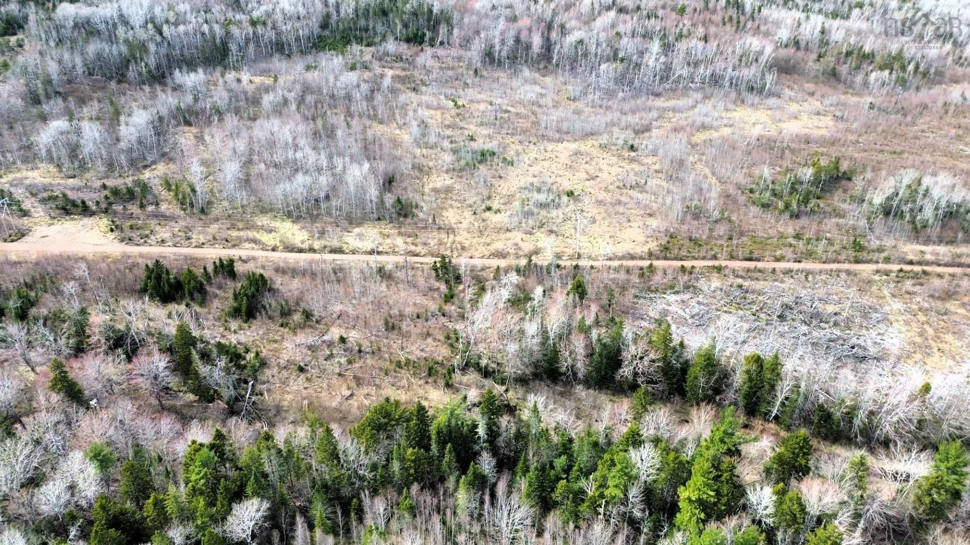 No 321 Highway, Valley Road Ns B0m 1v0, ,Land,For Sale,321,202411757