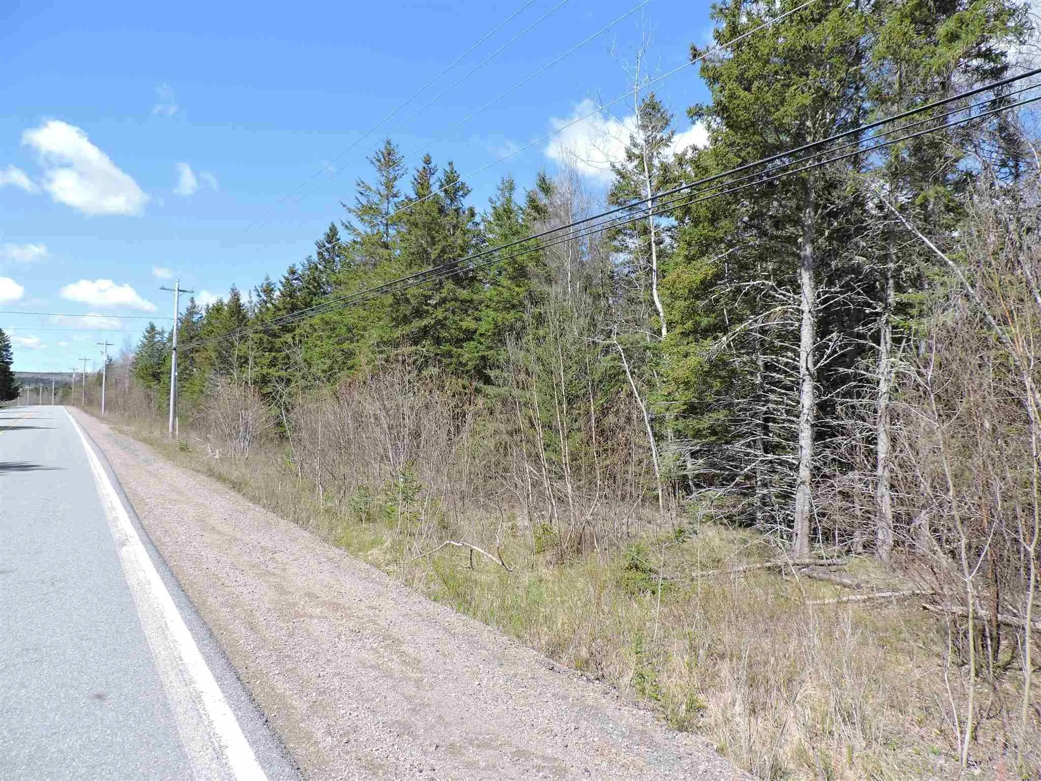 No 321 Highway, Valley Road Ns B0m 1v0, ,Land,For Sale,321,202411757