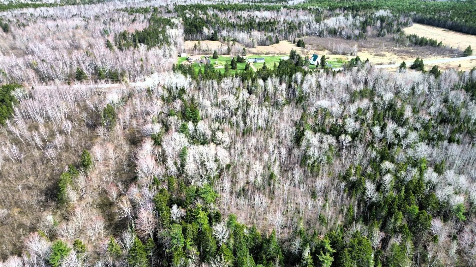 No 321 Highway, Valley Road Ns B0m 1v0, ,Land,For Sale,321,202411757