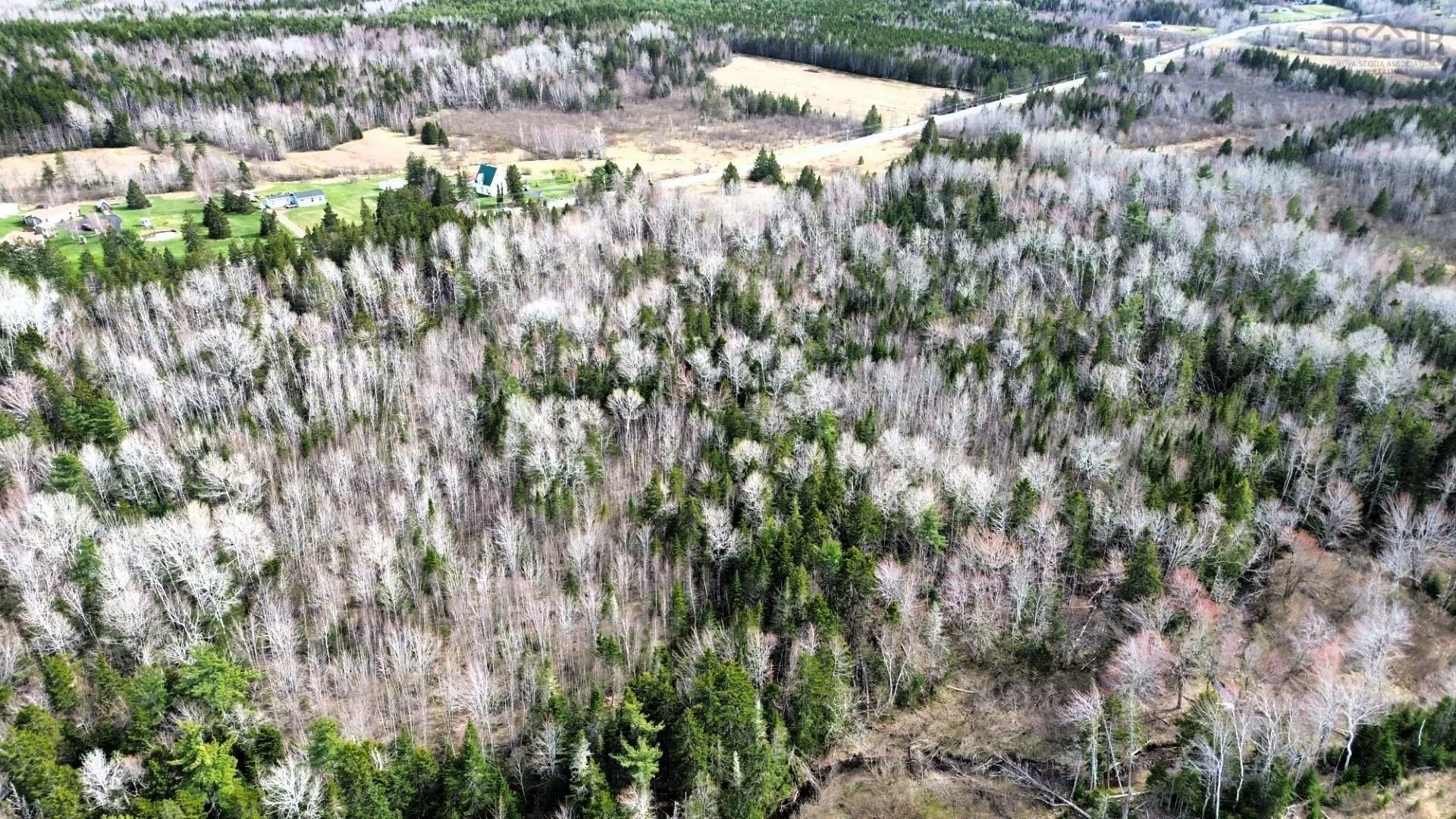 No 321 Highway, Valley Road Ns B0m 1v0, ,Land,For Sale,321,202411757
