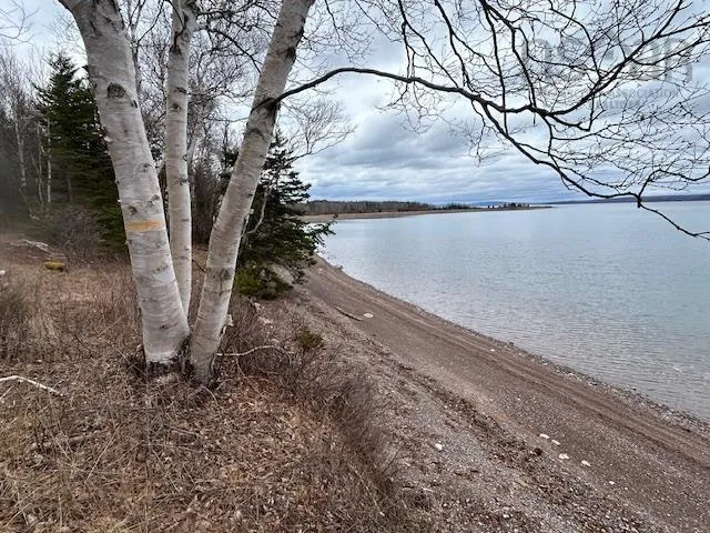 4609 Grand Narrows Highway, Beaver Cove, NS B1T 1P4, 2 Bedrooms Bedrooms, ,1 BathroomBathrooms,Residential,For Sale,Grand Narrows,202511089