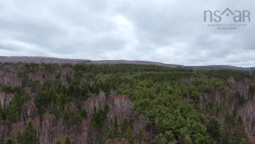 4609 Grand Narrows Highway, Beaver Cove, NS B1T 1P4, 2 Bedrooms Bedrooms, ,1 BathroomBathrooms,Residential,For Sale,Grand Narrows,202511089