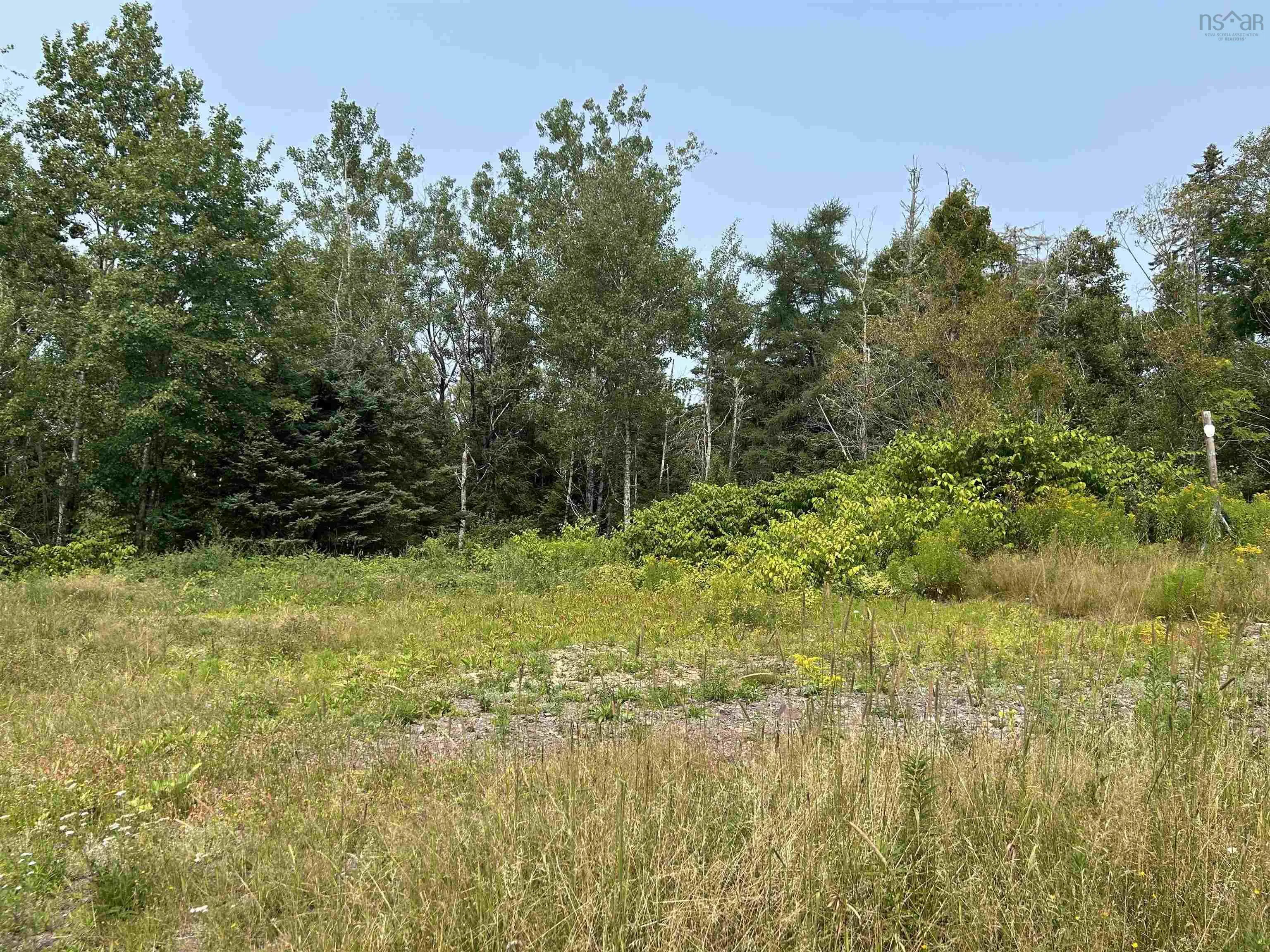 17 Hendsbee Road, Eight Island Lake, NS B0H 1M0, ,Land,For Sale,Hendsbee,202520163