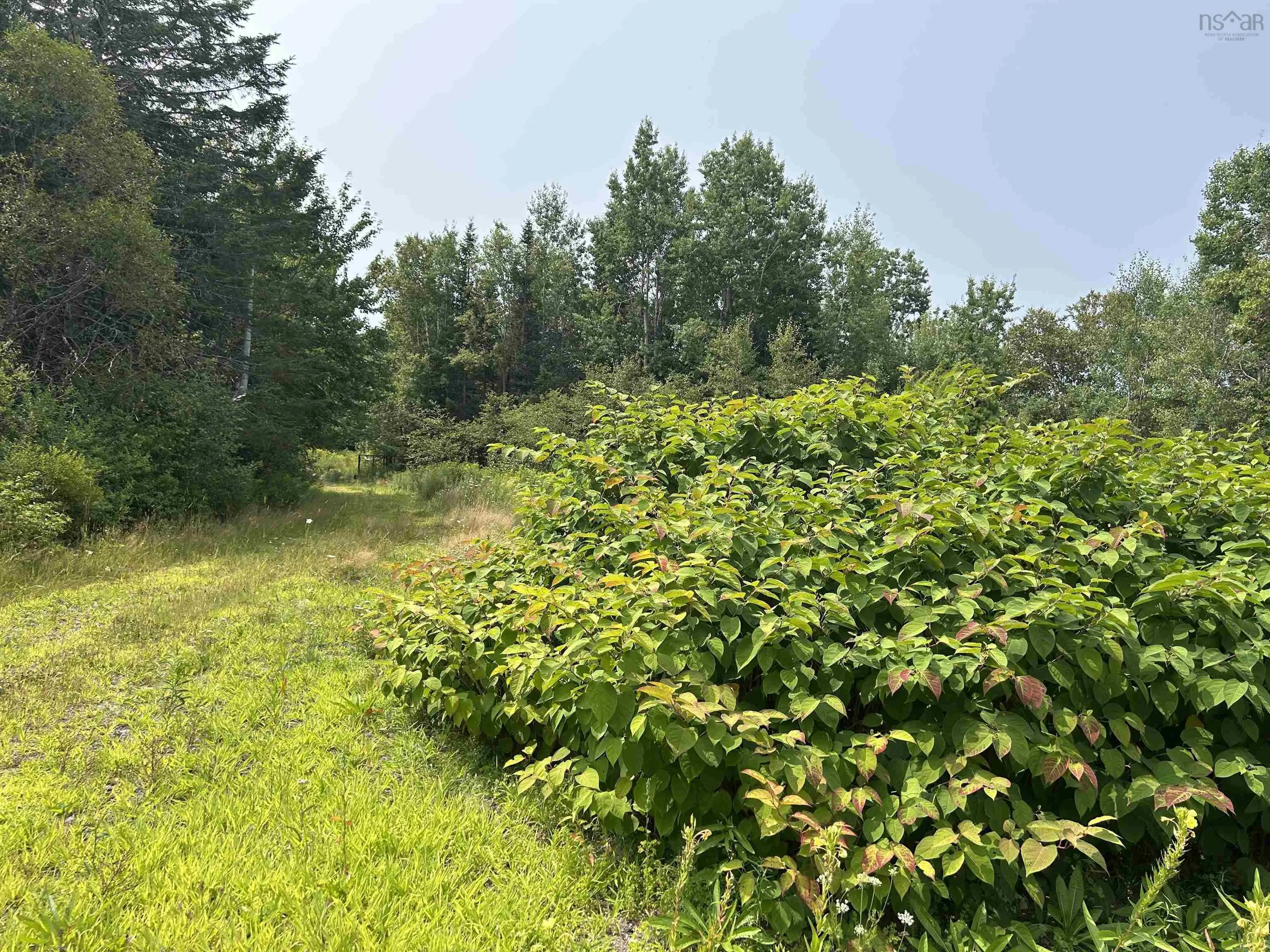 17 Hendsbee Road, Eight Island Lake, NS B0H 1M0, ,Land,For Sale,Hendsbee,202520163