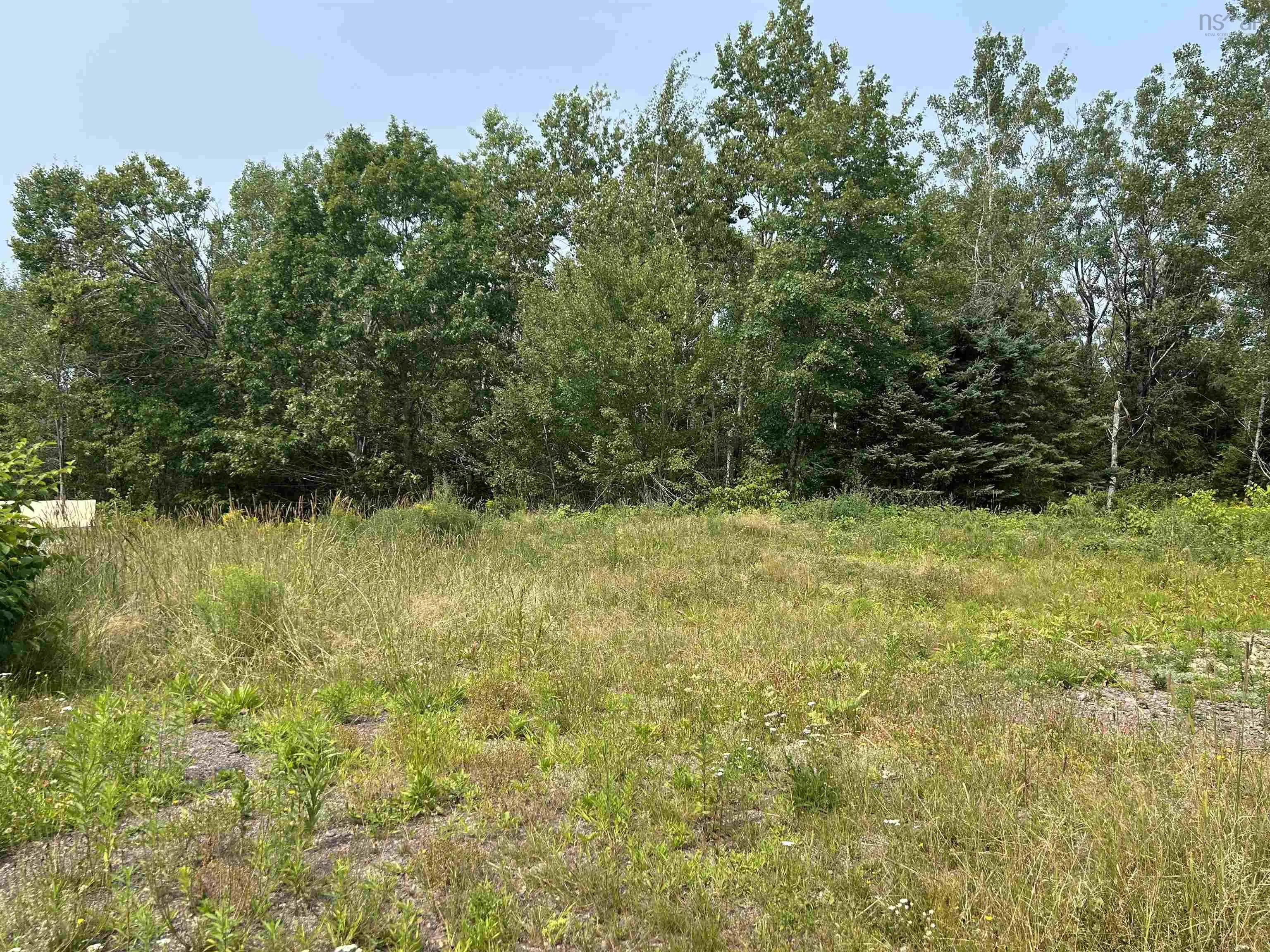 17 Hendsbee Road, Eight Island Lake, NS B0H 1M0, ,Land,For Sale,Hendsbee,202520163