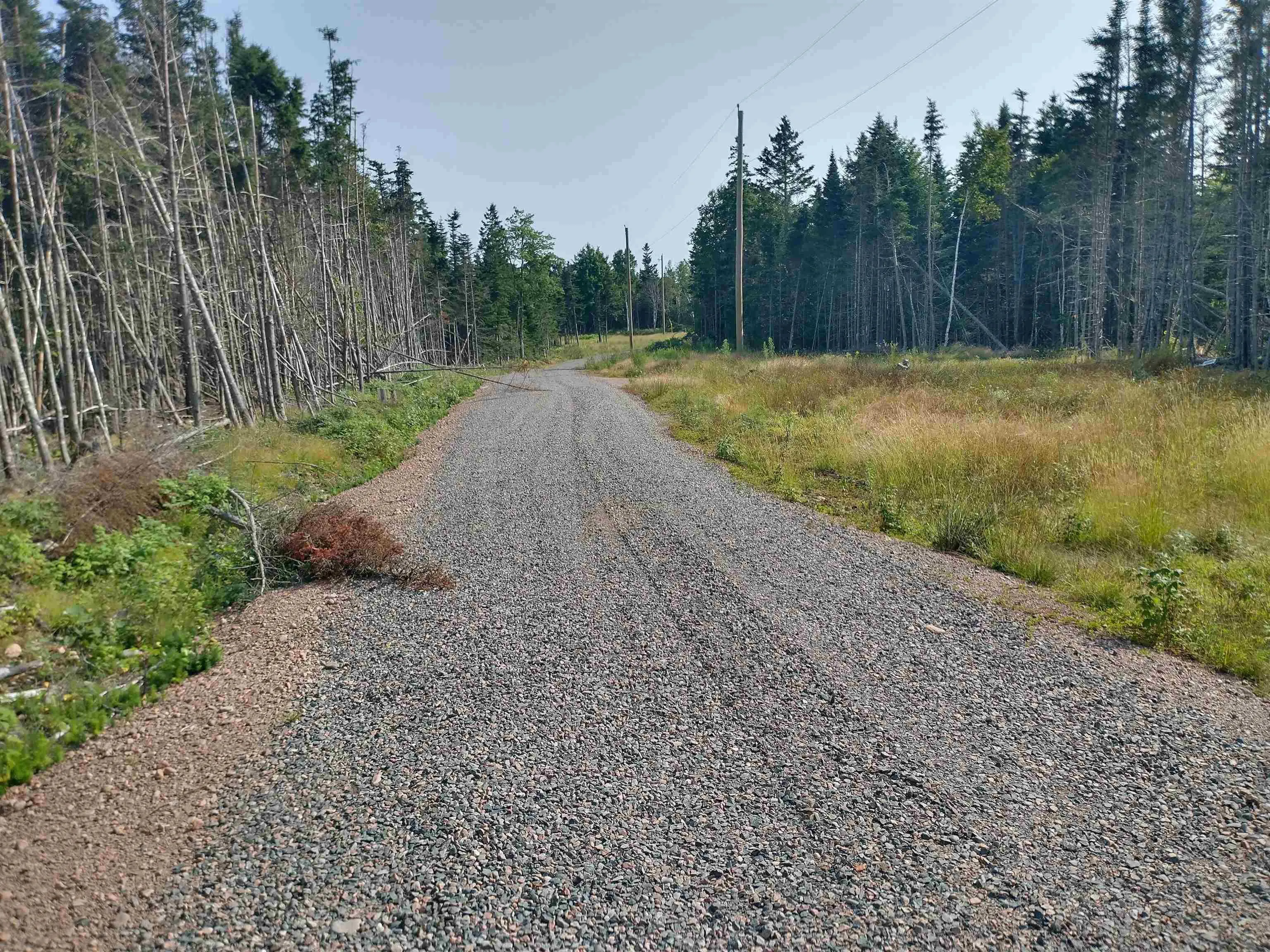 Dance Hall Lane Lot 3, Portapique Ns B0m 1b0, ,Land,For Sale,Dance Hall,202426570
