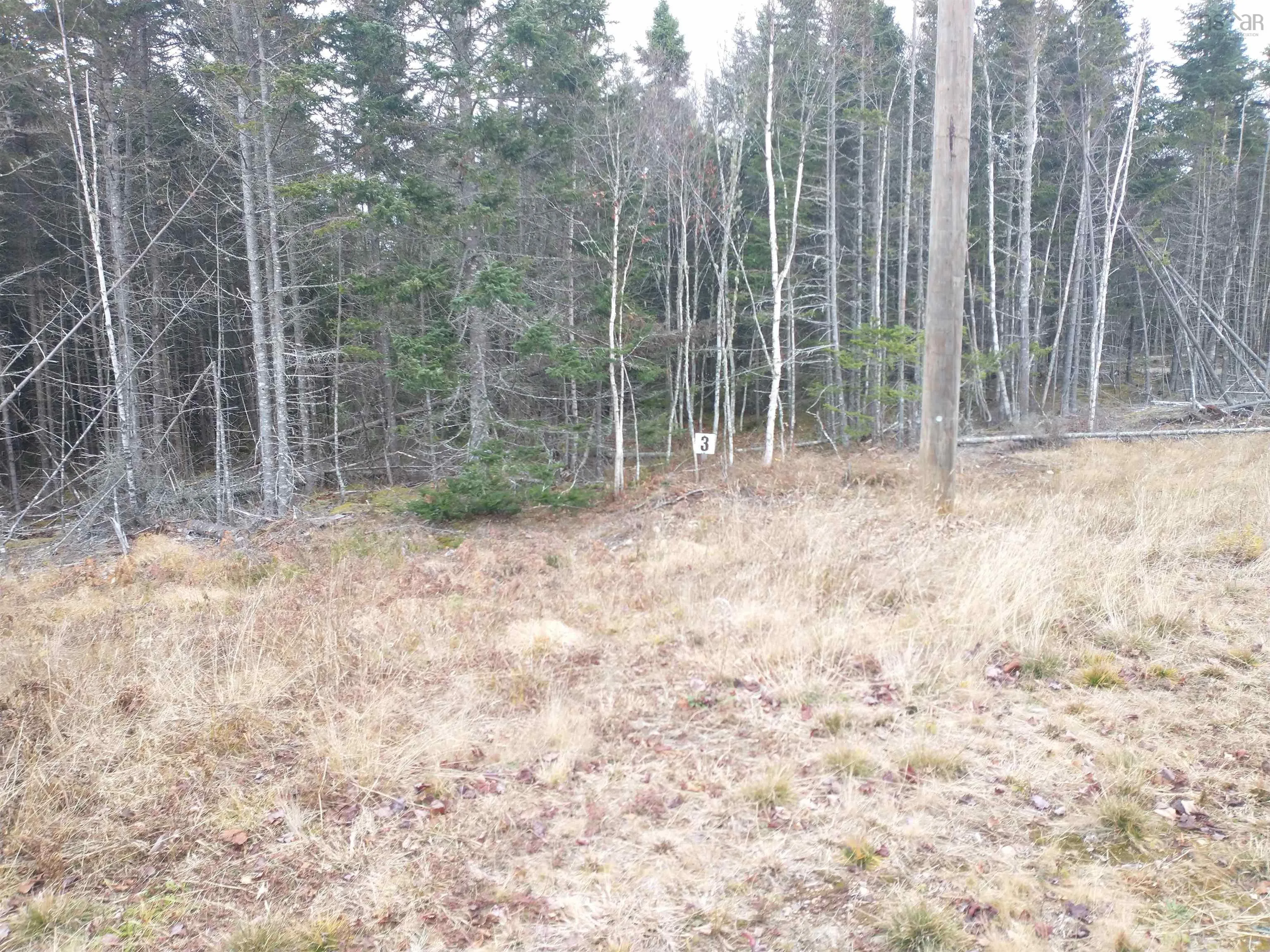 Dance Hall Lane Lot 3, Portapique Ns B0m 1b0, ,Land,For Sale,Dance Hall,202426570