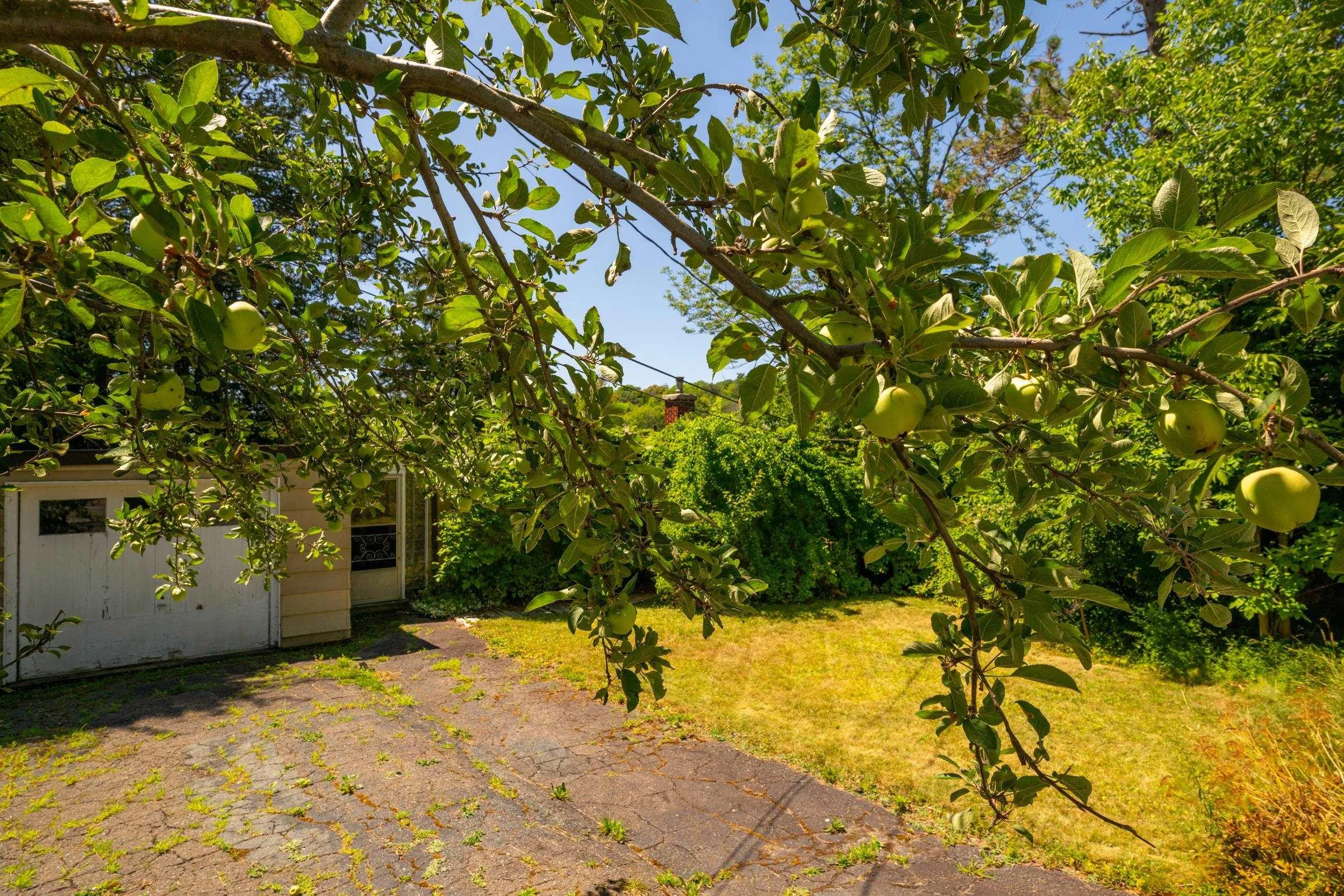 609 Shore Drive, Bedford, NS B4A 2E2, 3 Bedrooms Bedrooms, ,1 BathroomBathrooms,Residential,For Sale,Shore,202520360