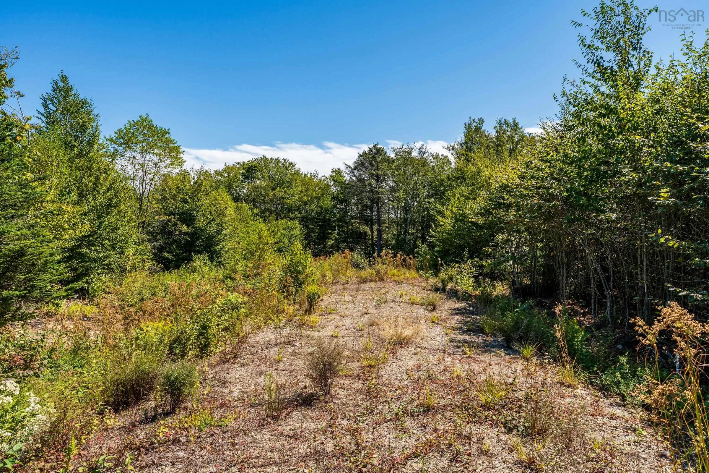 Lot 21-12 Second Division Road, Grosses Coques, NS B0W 2J0, ,Land,For Sale,Second Division Road,202522228