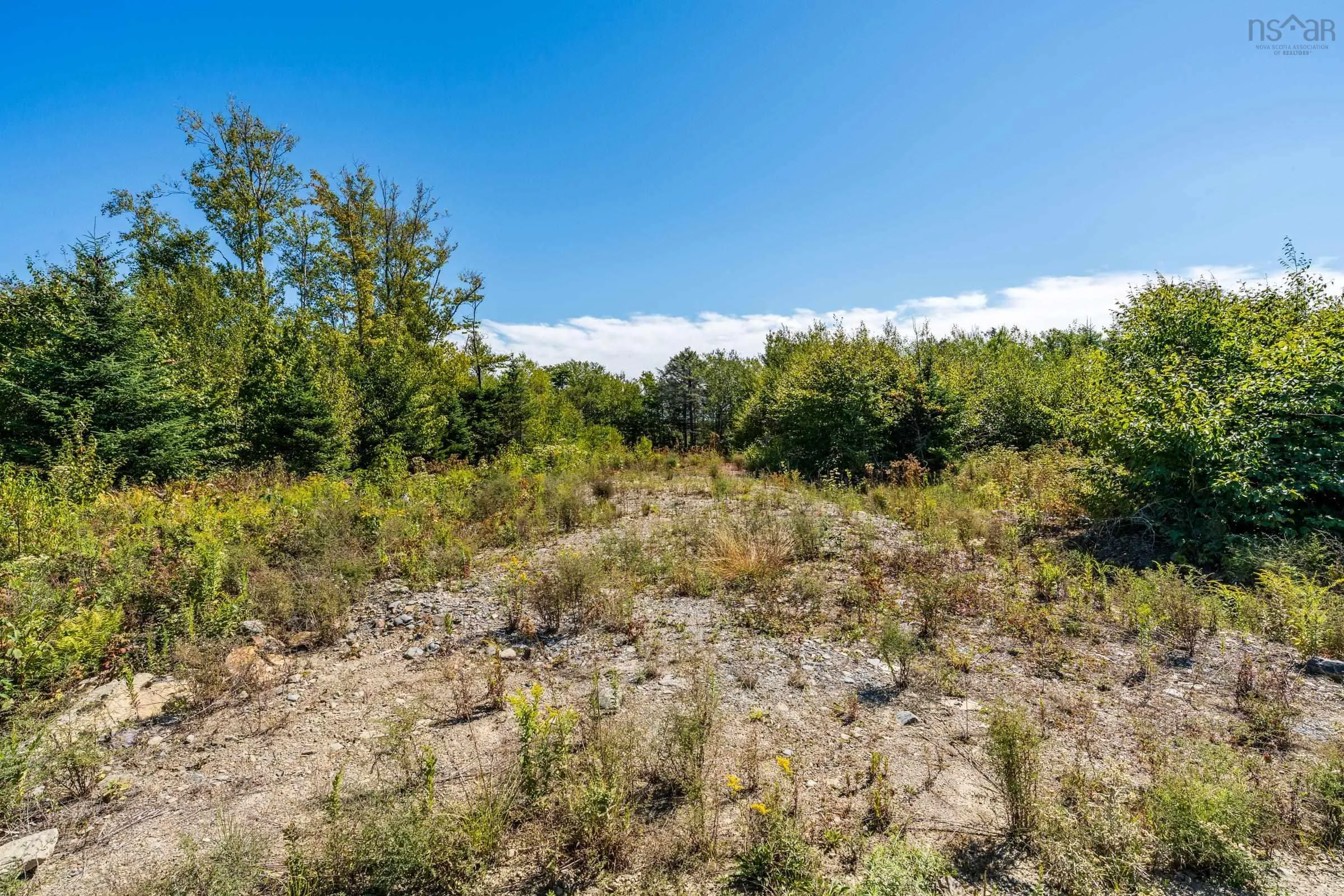 Lot 21-12 Second Division Road, Grosses Coques, NS B0W 2J0, ,Land,For Sale,Second Division Road,202522228