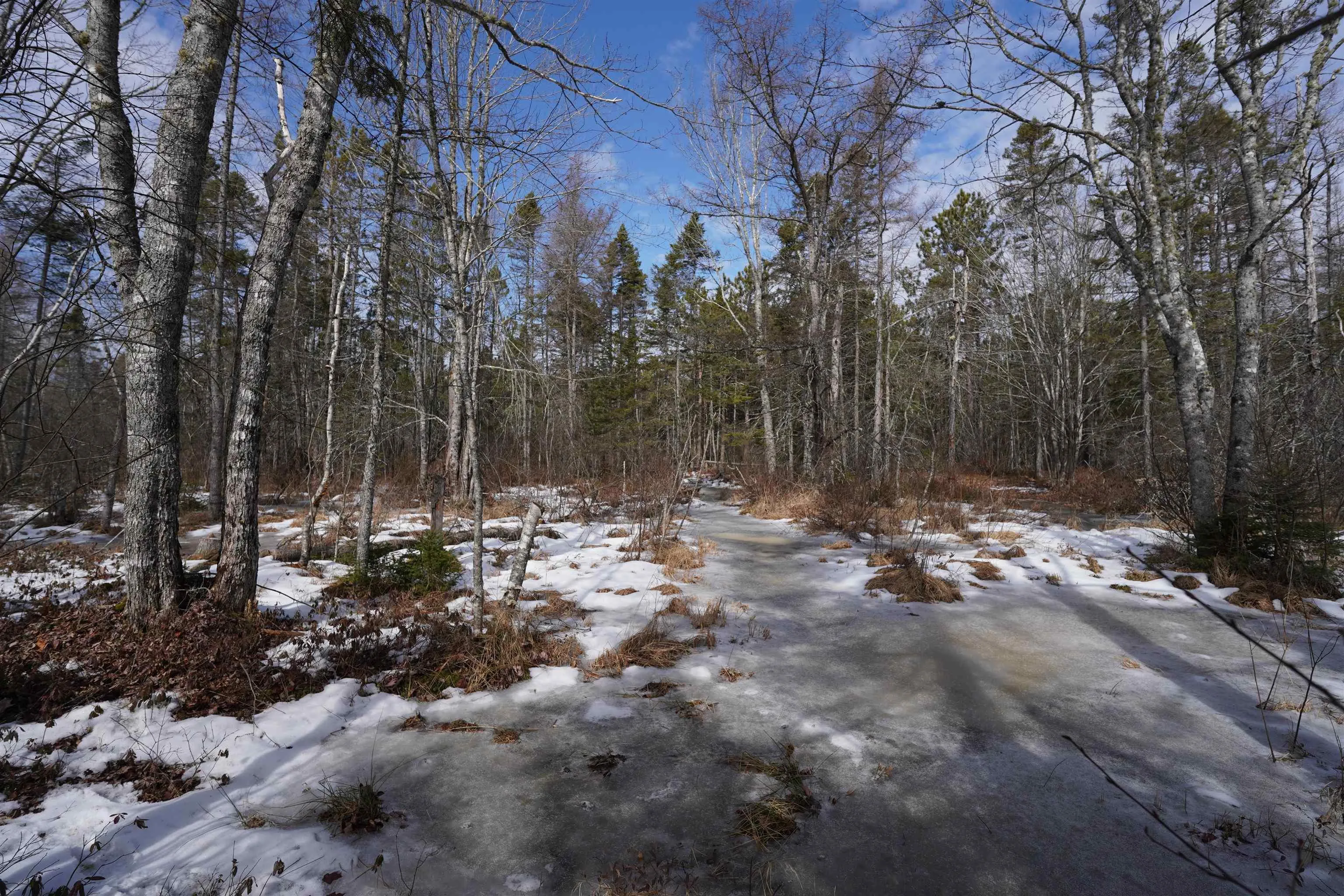 Highway 201, South Farmington Ns B0p 1w0, ,Land,For Sale,Highway 201,202505010
