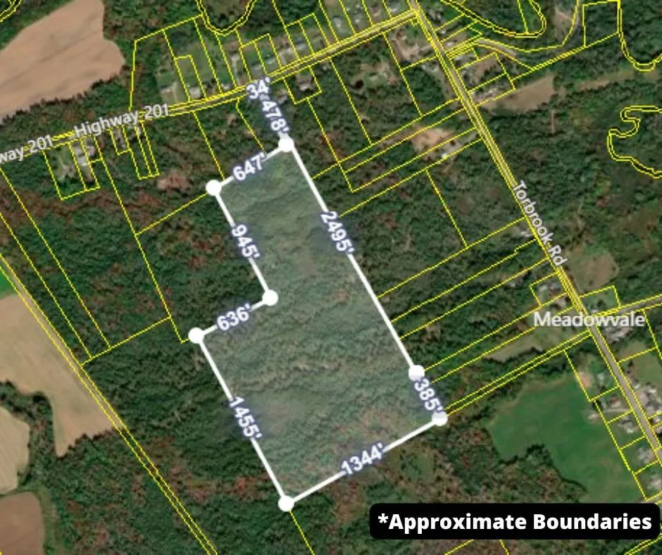 Highway 201, South Farmington Ns B0p 1w0, ,Land,For Sale,Highway 201,202505010