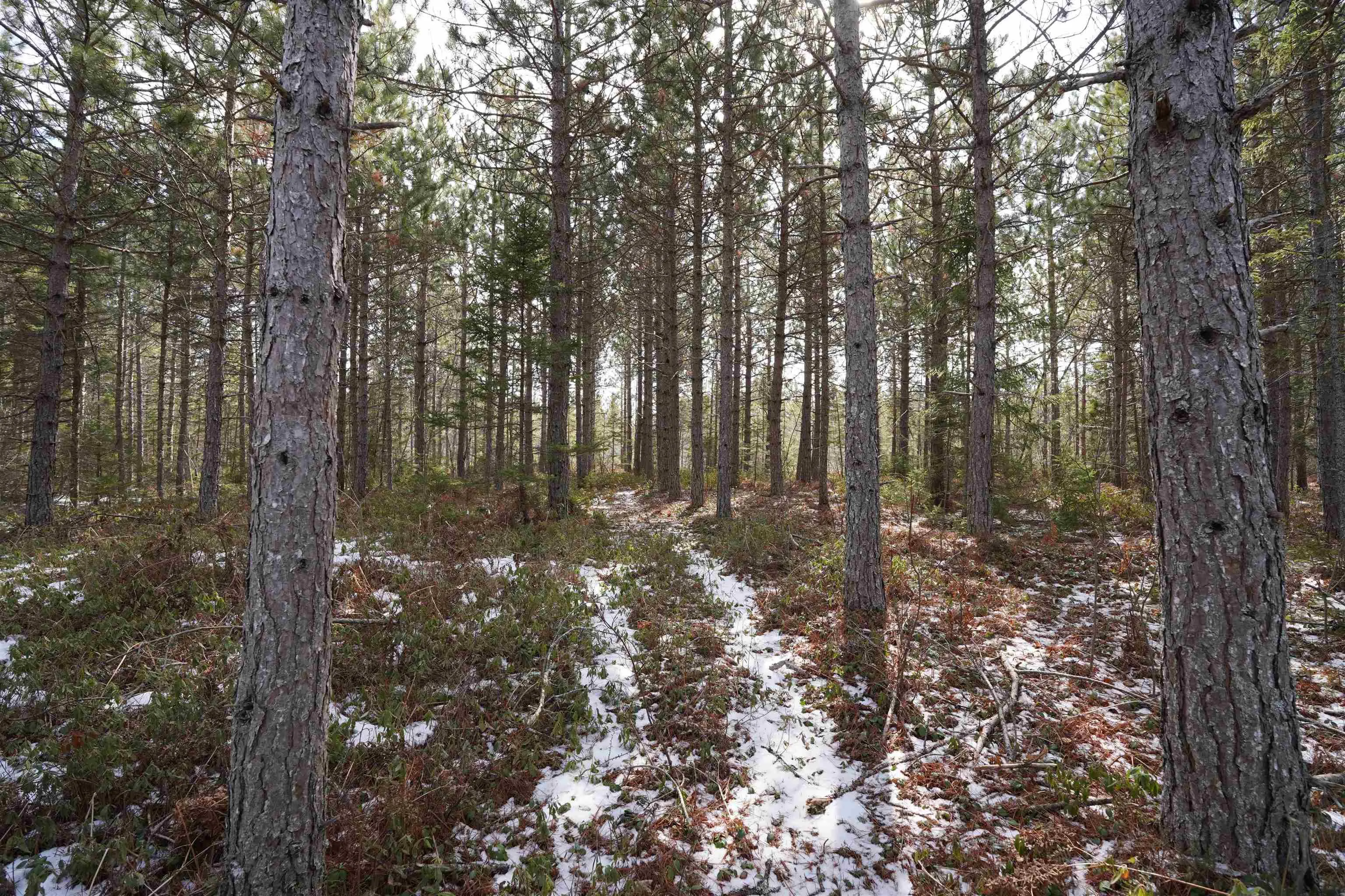 Highway 201, South Farmington Ns B0p 1w0, ,Land,For Sale,Highway 201,202505010