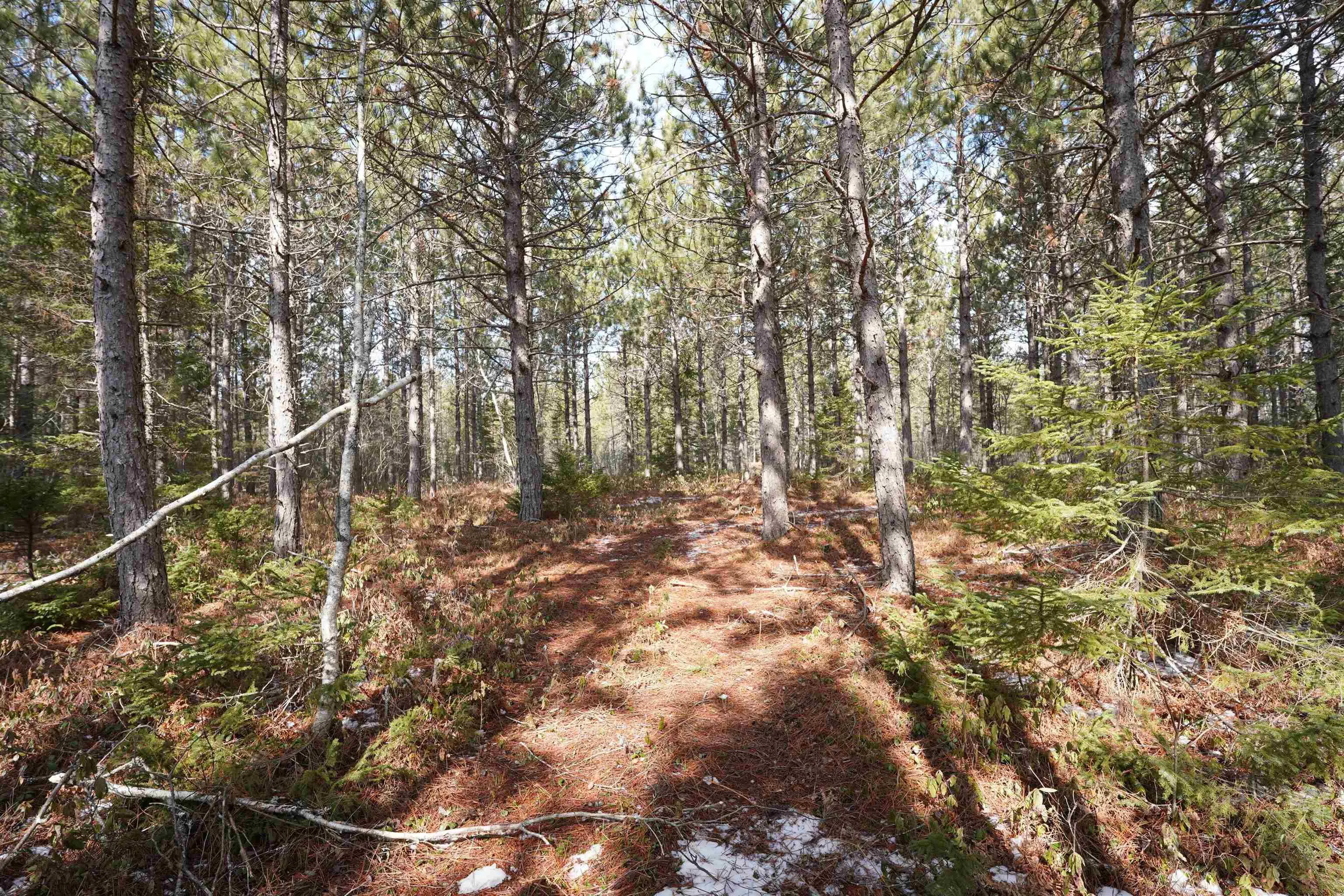 Highway 201, South Farmington Ns B0p 1w0, ,Land,For Sale,Highway 201,202505010