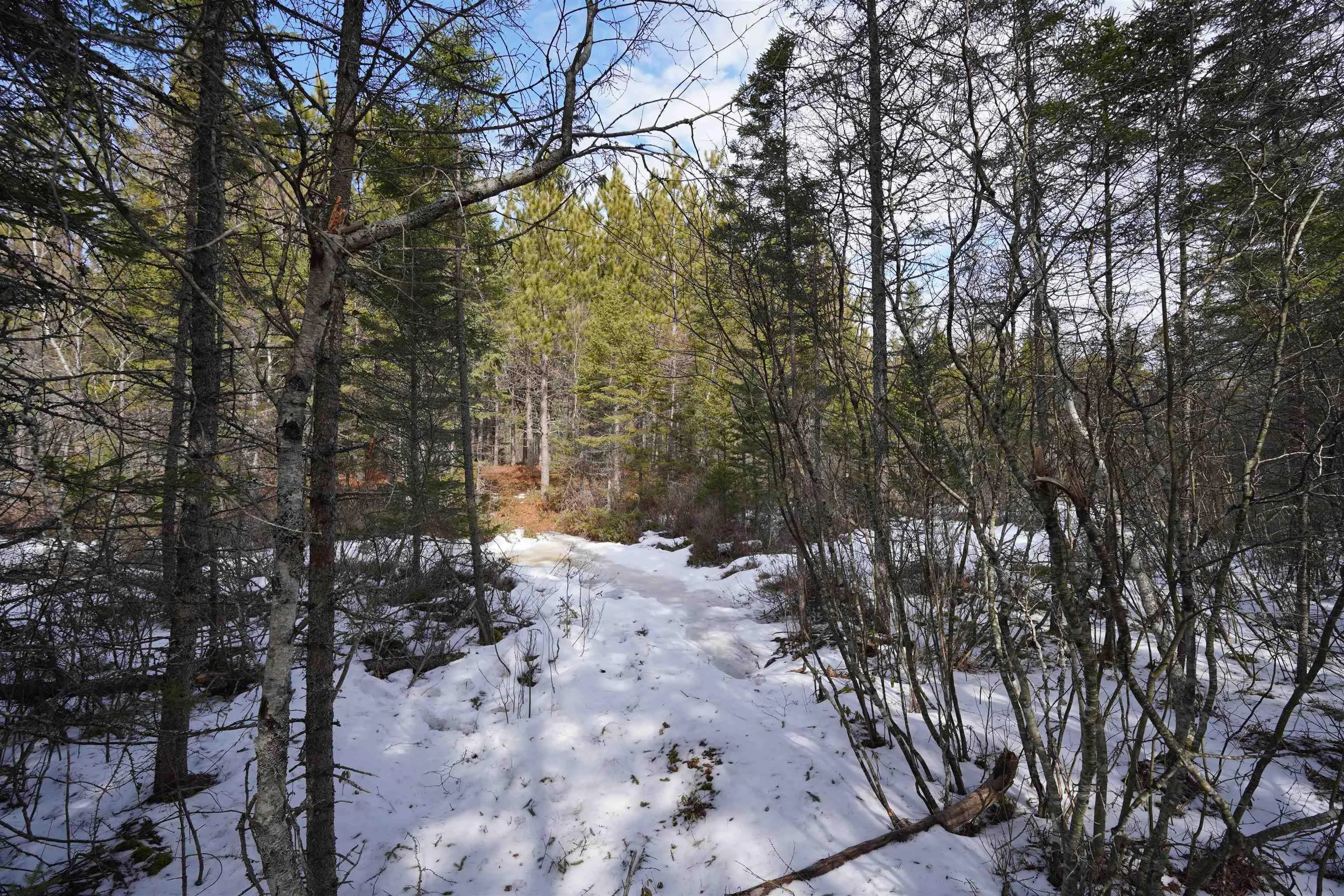 Highway 201, South Farmington Ns B0p 1w0, ,Land,For Sale,Highway 201,202505010