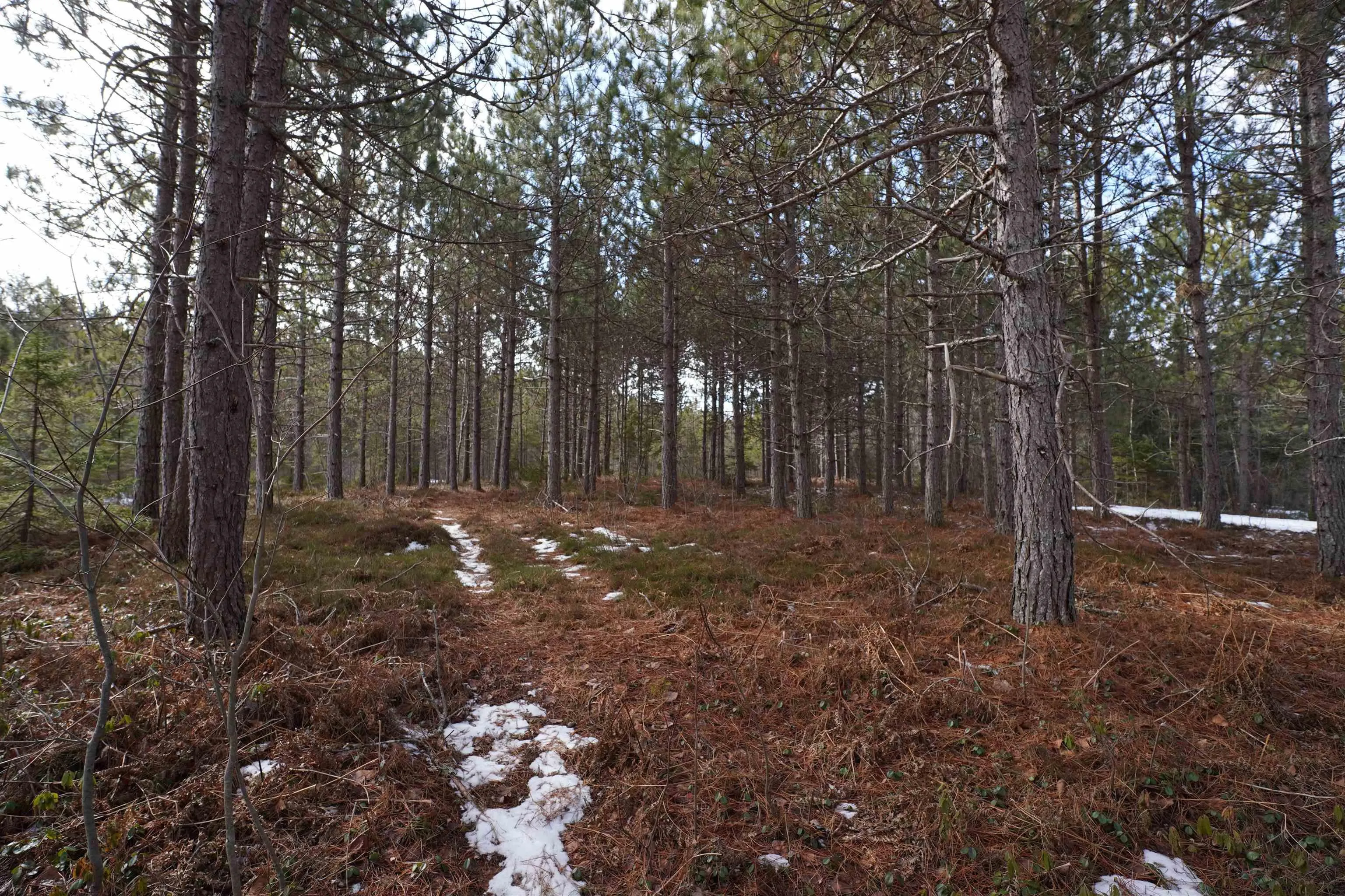 Highway 201, South Farmington Ns B0p 1w0, ,Land,For Sale,Highway 201,202505010