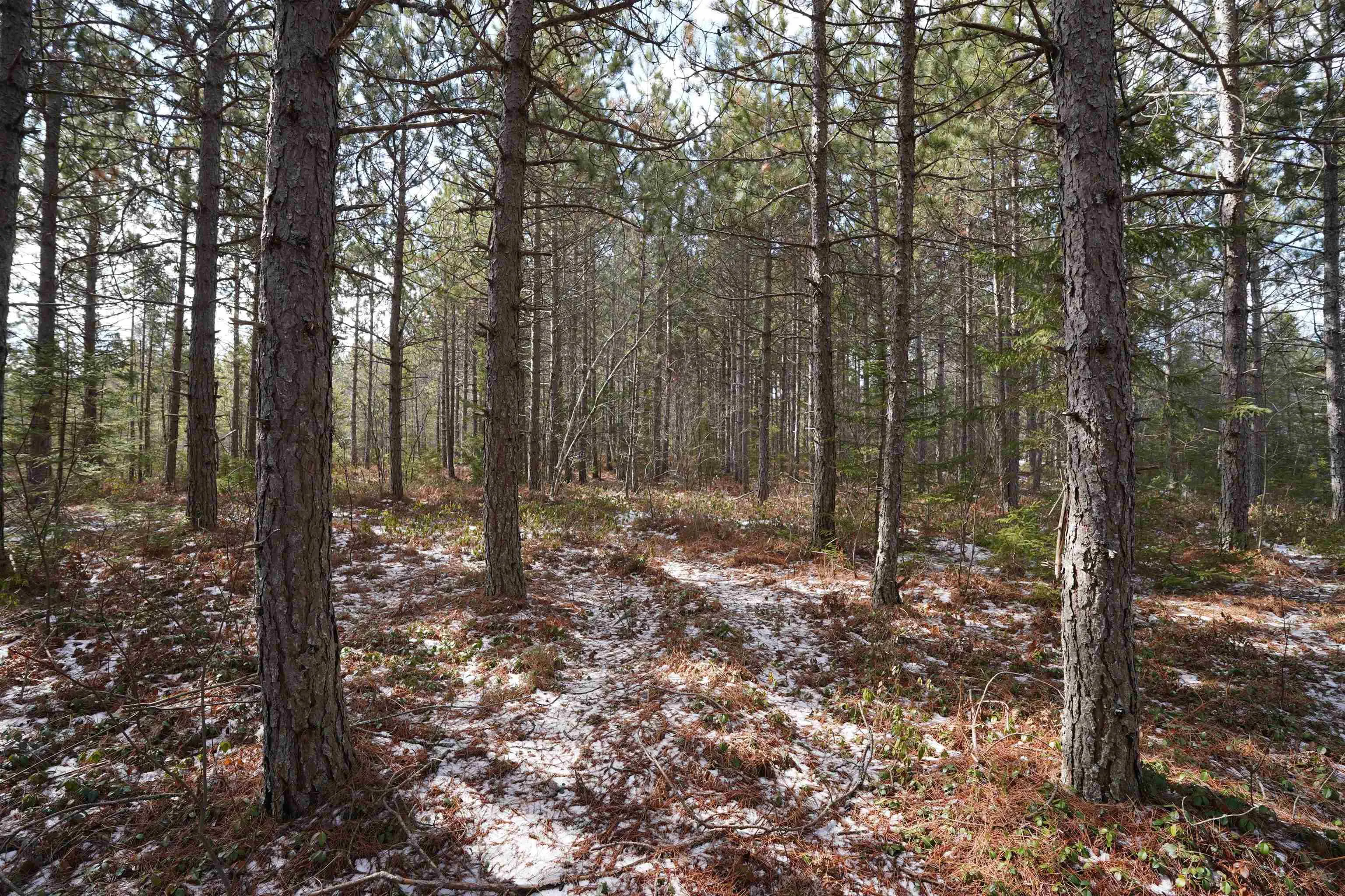 Highway 201, South Farmington Ns B0p 1w0, ,Land,For Sale,Highway 201,202505010