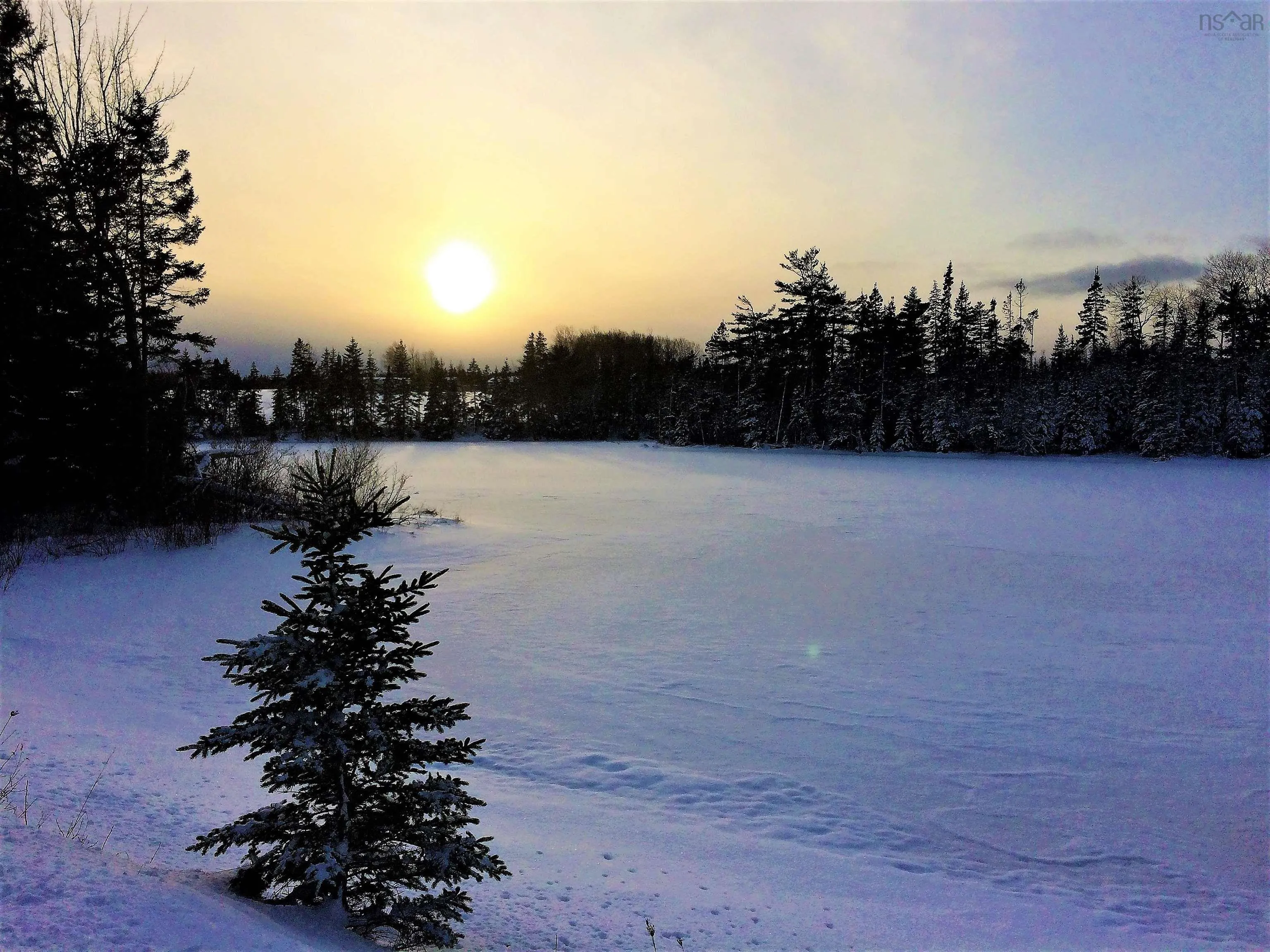 10353 Marble Mountain Road, Orangedale Ns B0e 2k0, 4 Bedrooms Bedrooms, ,2 BathroomsBathrooms,Residential,For Sale,Marble Mountain,202502670