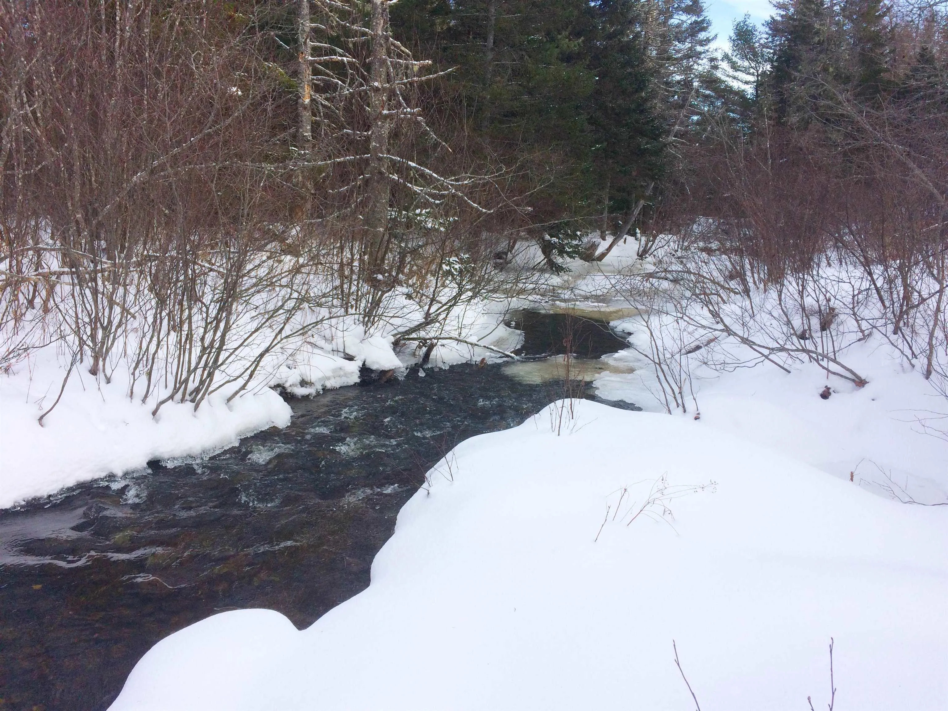 10353 Marble Mountain Road, Orangedale Ns B0e 2k0, 4 Bedrooms Bedrooms, ,2 BathroomsBathrooms,Residential,For Sale,Marble Mountain,202502670