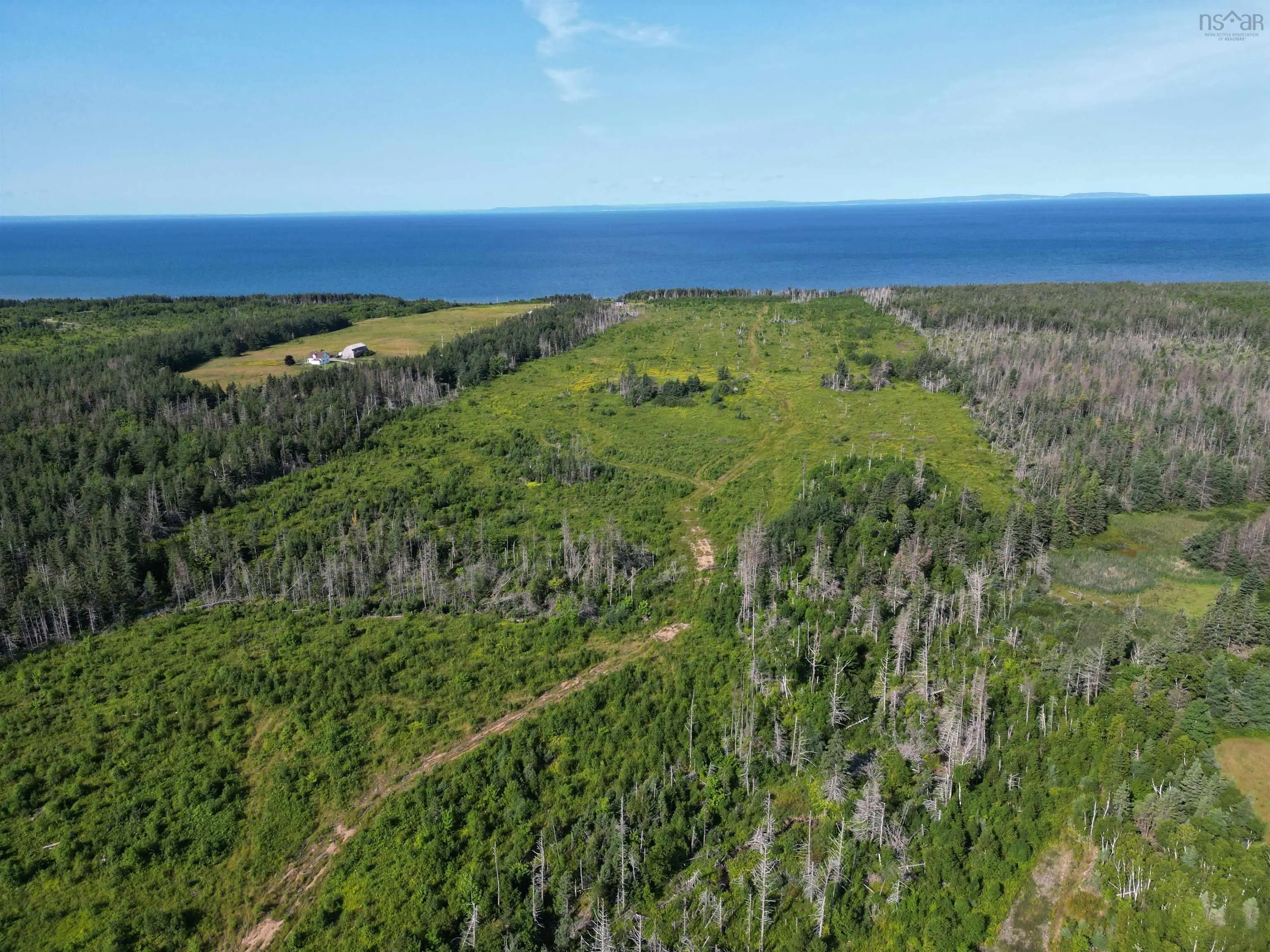 Walkers Cove Road, Judique South Ns B0e 1p0, ,Land,For Sale,Walkers Cove Road,202401393