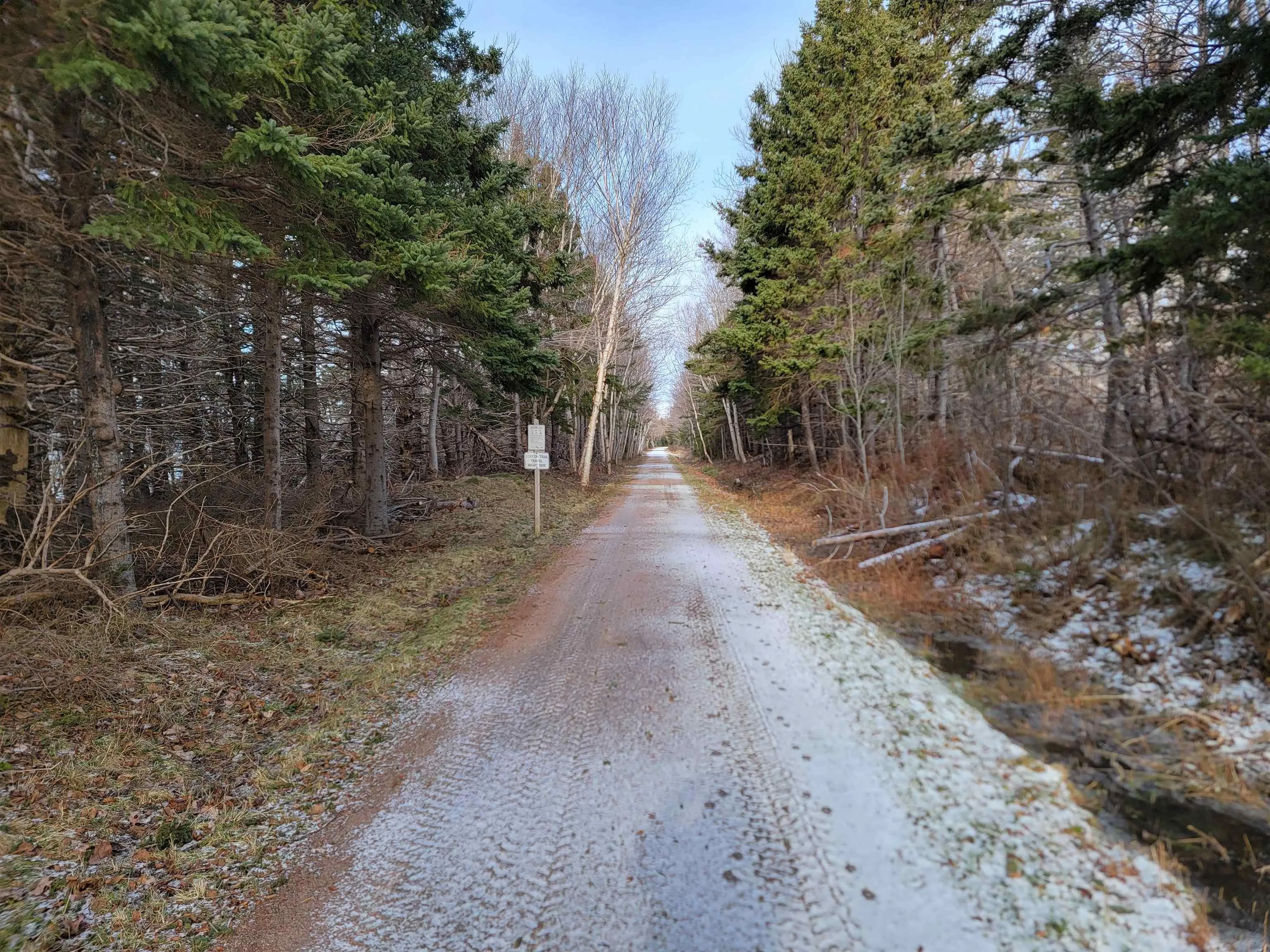 Walkers Cove Road, Judique South Ns B0e 1p0, ,Land,For Sale,Walkers Cove Road,202401393