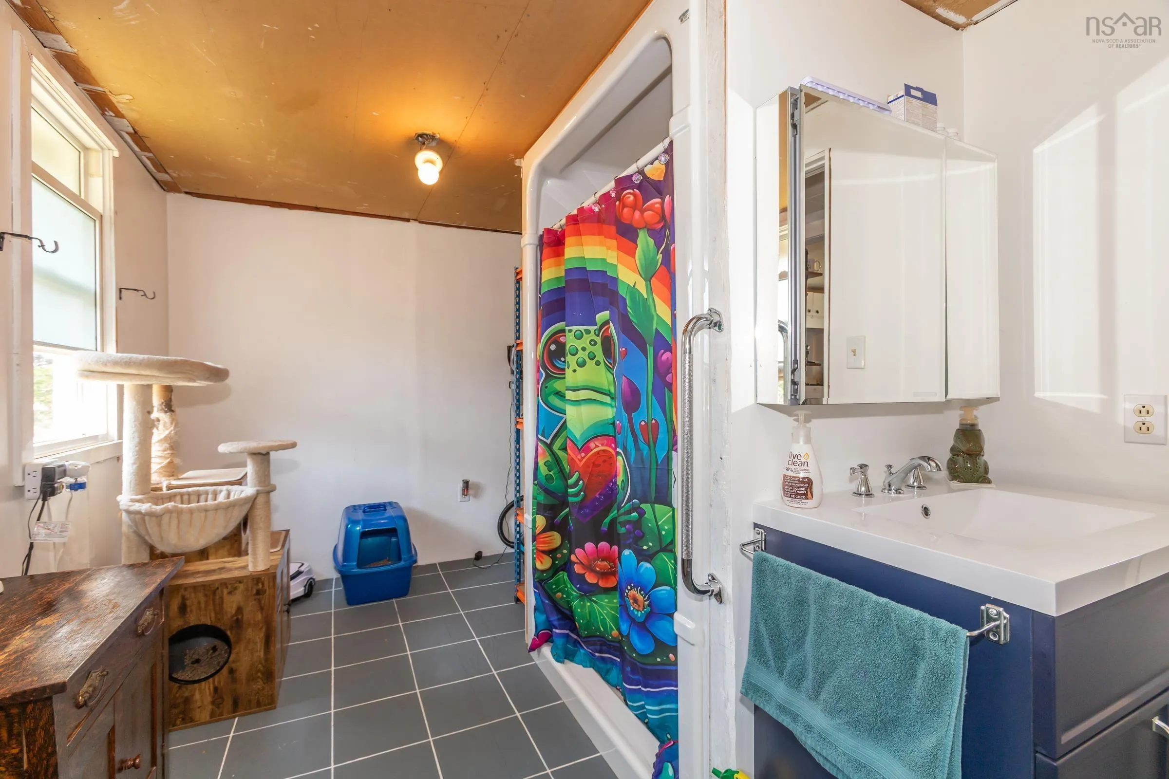 6653 Highway 340, Weaver Settlement, NS B0W 3T0, 2 Bedrooms Bedrooms, ,1 BathroomBathrooms,Residential,For Sale,Highway 340,202515711