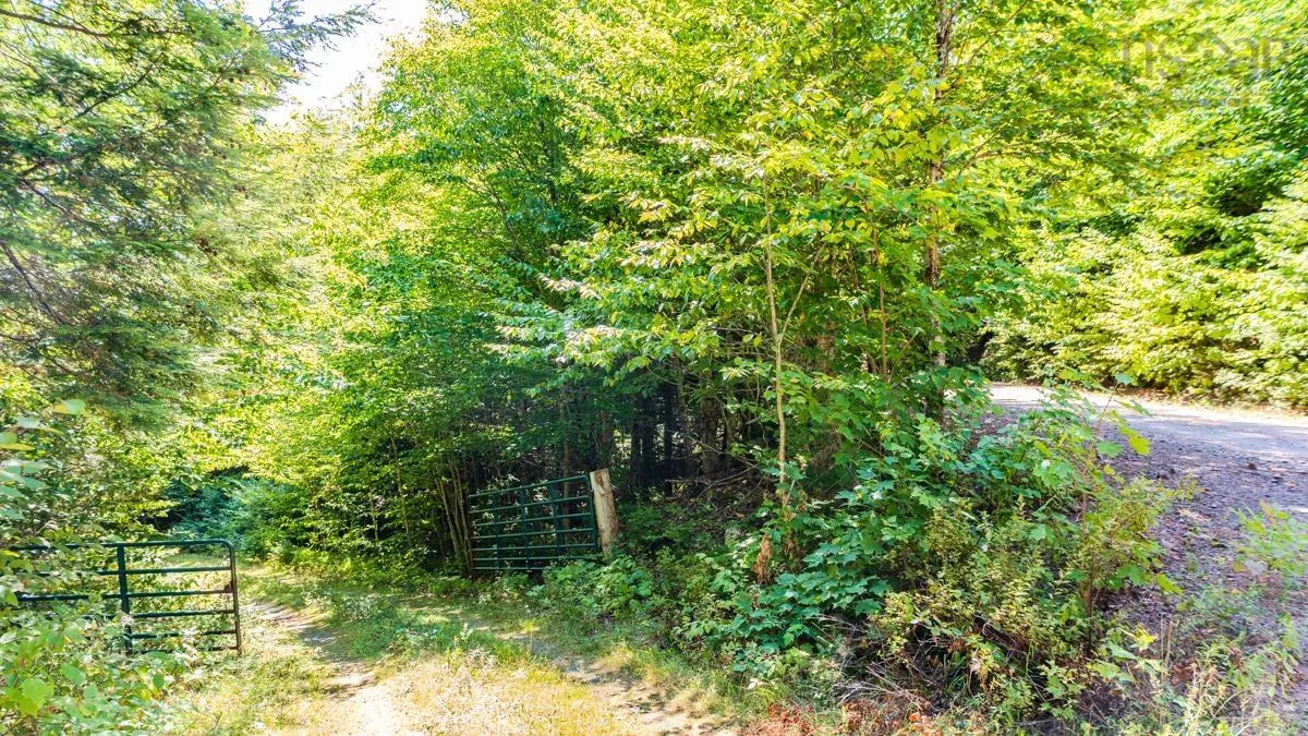 Old Debert Rd, New Annan, NS B0K 1V0, ,Land,For Sale,Old Debert Rd,202522608