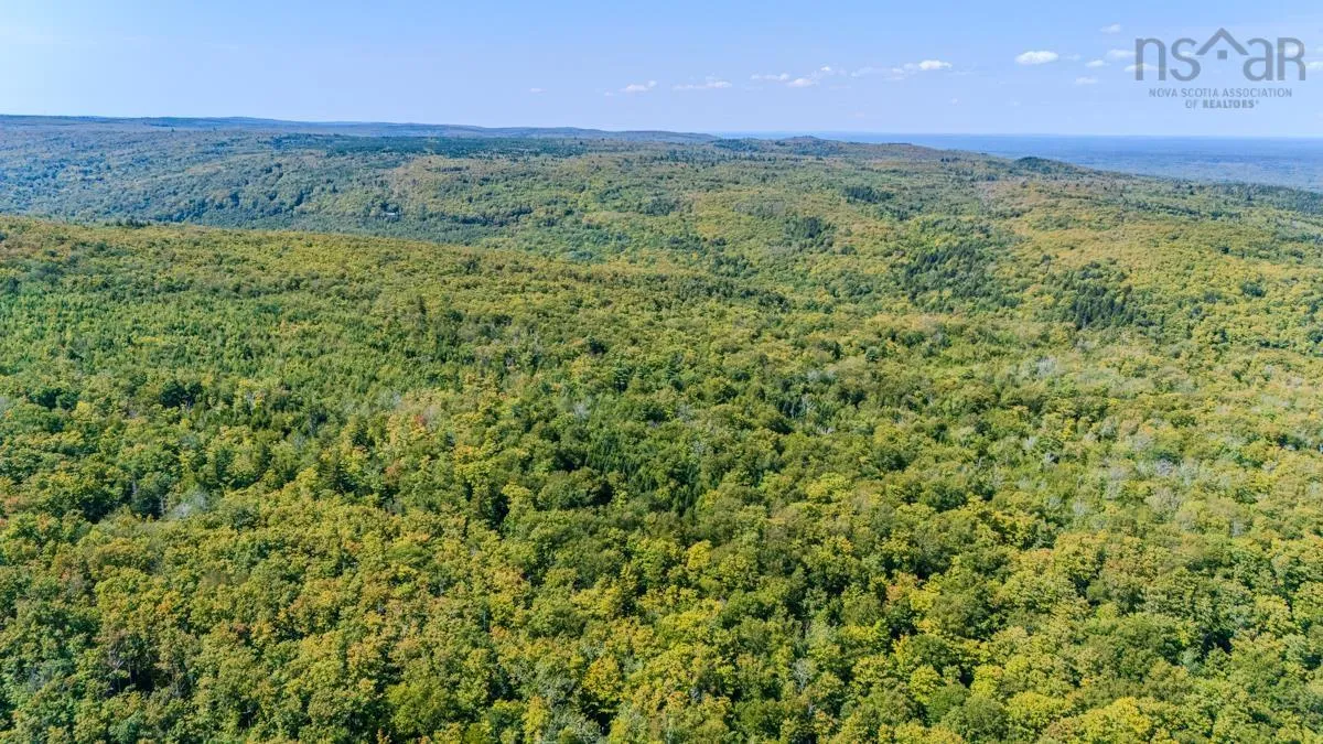 Old Debert Rd, New Annan, NS B0K 1V0, ,Land,For Sale,Old Debert Rd,202522608