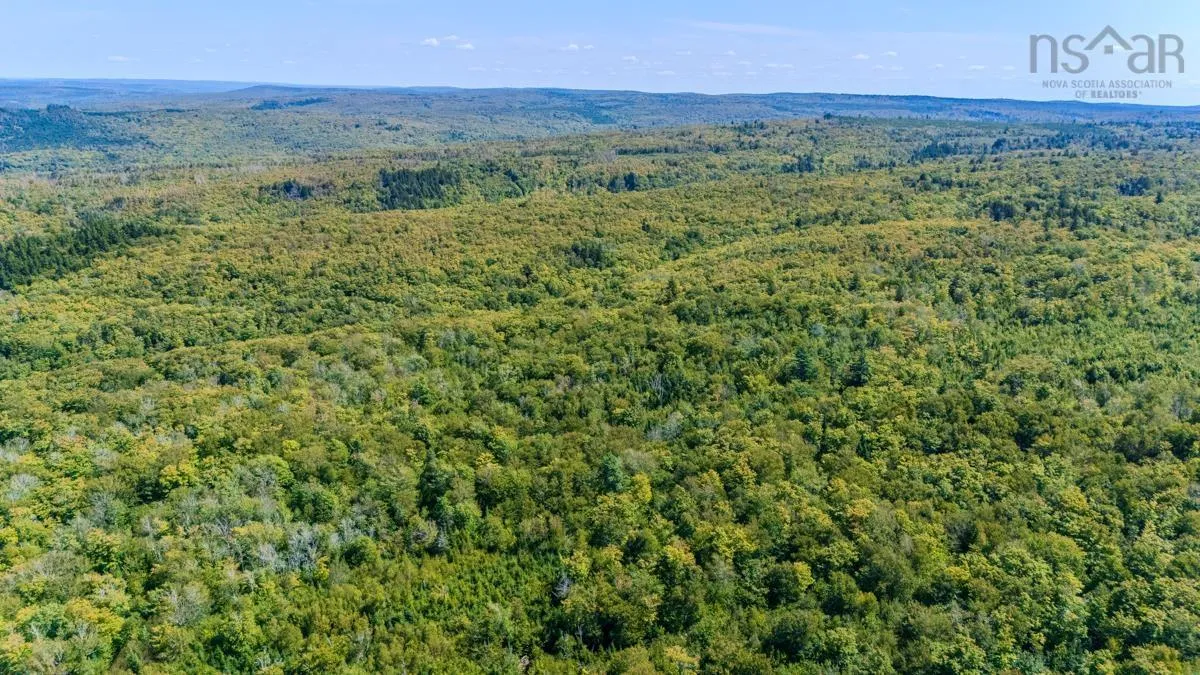Old Debert Rd, New Annan, NS B0K 1V0, ,Land,For Sale,Old Debert Rd,202522608