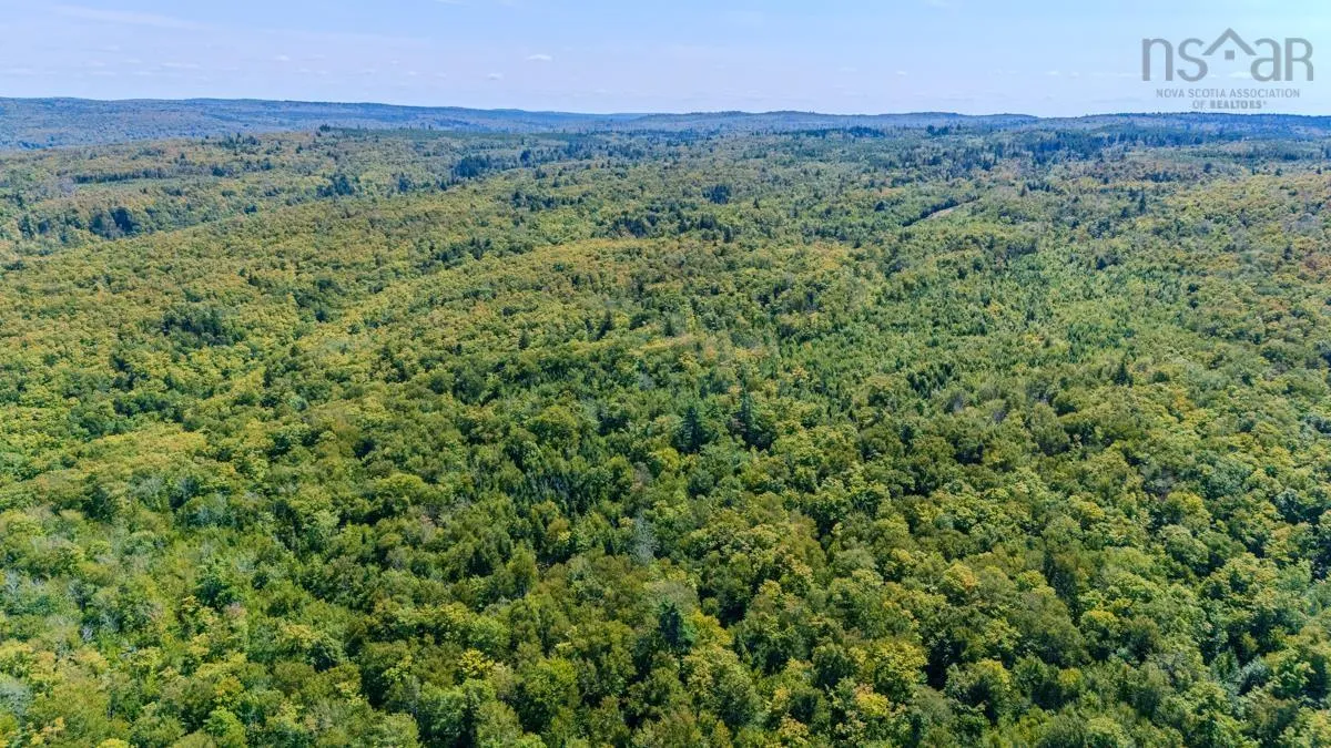 Old Debert Rd, New Annan, NS B0K 1V0, ,Land,For Sale,Old Debert Rd,202522608