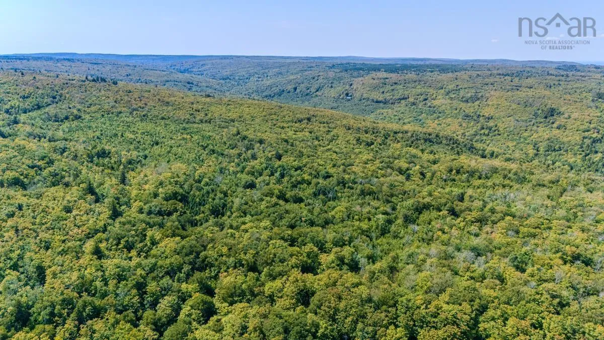 Old Debert Rd, New Annan, NS B0K 1V0, ,Land,For Sale,Old Debert Rd,202522608