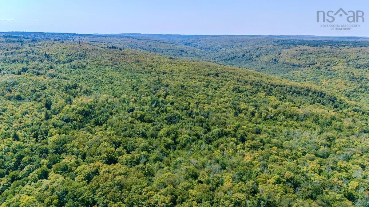 Old Debert Rd, New Annan, NS B0K 1V0, ,Land,For Sale,Old Debert Rd,202522608
