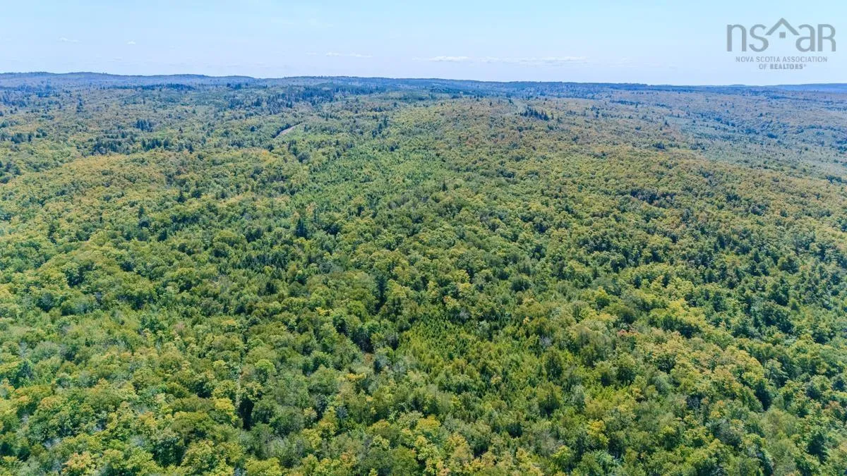 Old Debert Rd, New Annan, NS B0K 1V0, ,Land,For Sale,Old Debert Rd,202522608