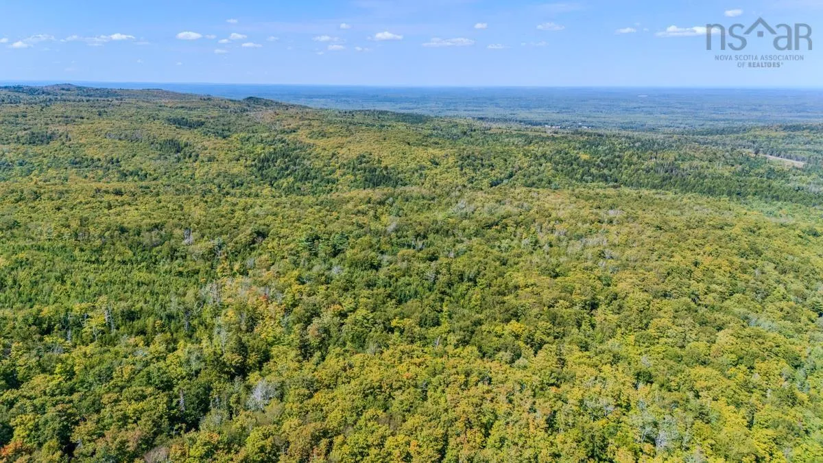 Old Debert Rd, New Annan, NS B0K 1V0, ,Land,For Sale,Old Debert Rd,202522608