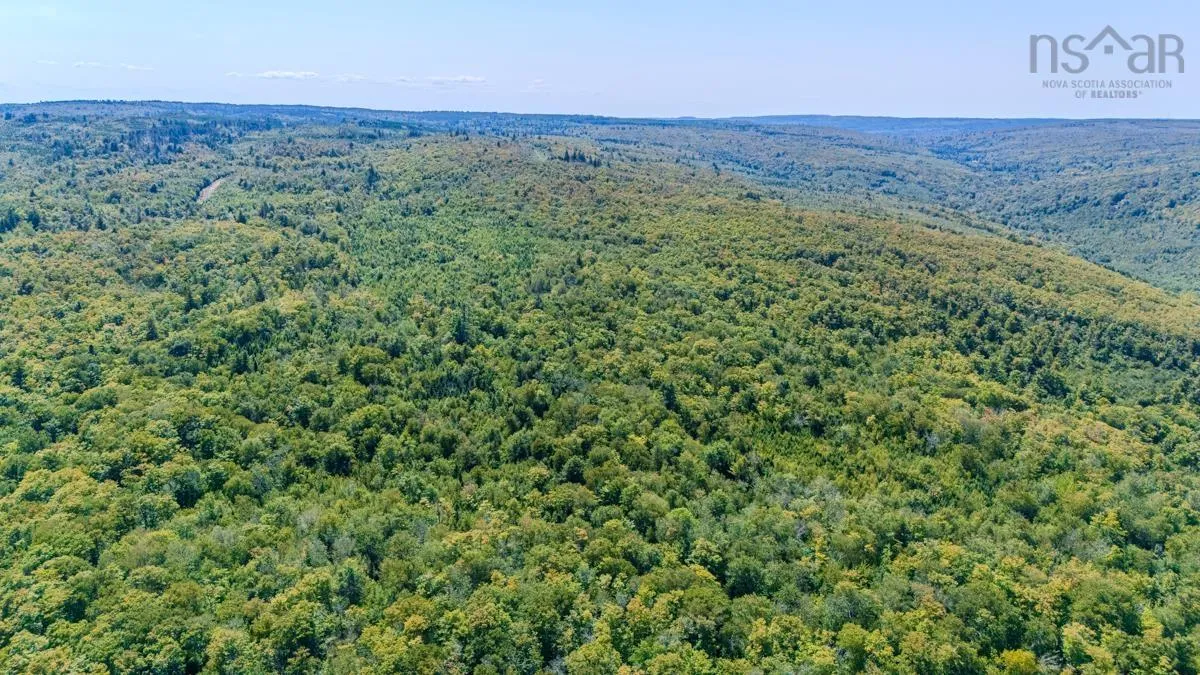 Old Debert Rd, New Annan, NS B0K 1V0, ,Land,For Sale,Old Debert Rd,202522608