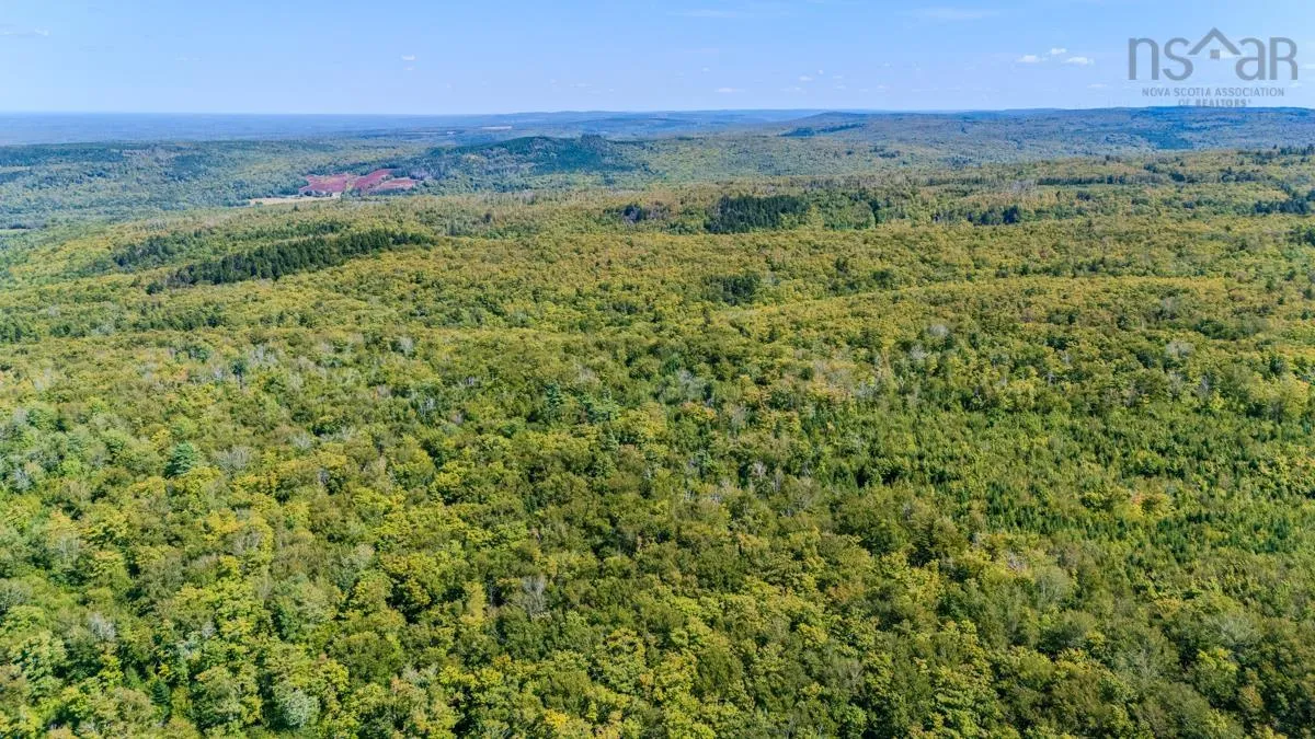 Old Debert Rd, New Annan, NS B0K 1V0, ,Land,For Sale,Old Debert Rd,202522608