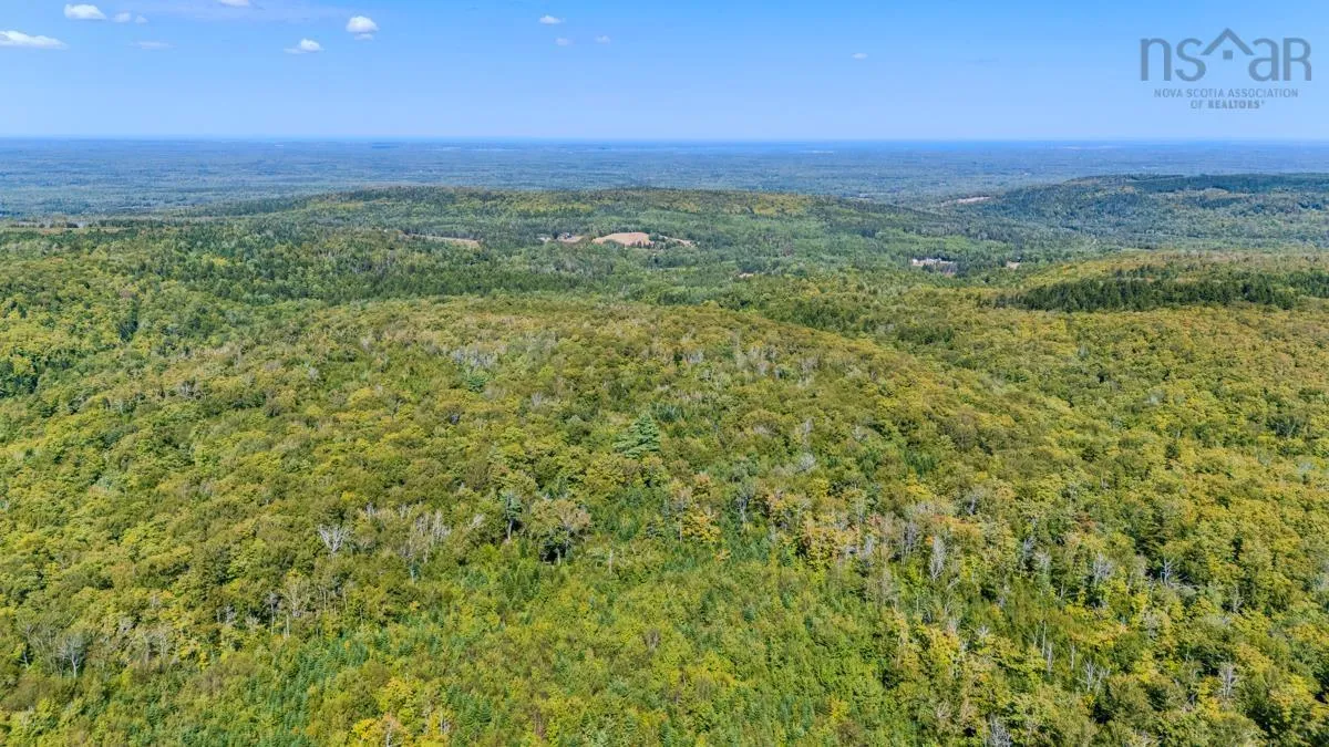 Old Debert Rd, New Annan, NS B0K 1V0, ,Land,For Sale,Old Debert Rd,202522608