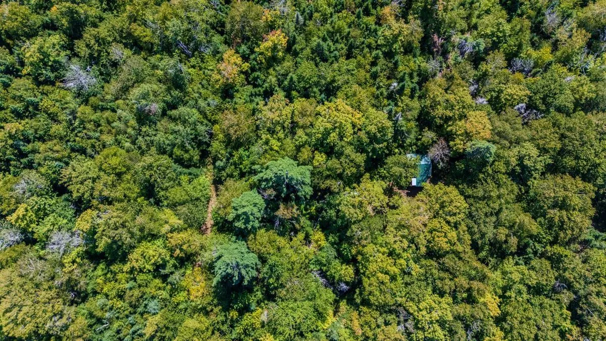 Old Debert Rd, New Annan, NS B0K 1V0, ,Land,For Sale,Old Debert Rd,202522608