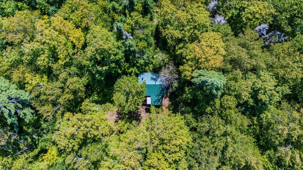 Old Debert Rd, New Annan, NS B0K 1V0, ,Land,For Sale,Old Debert Rd,202522608