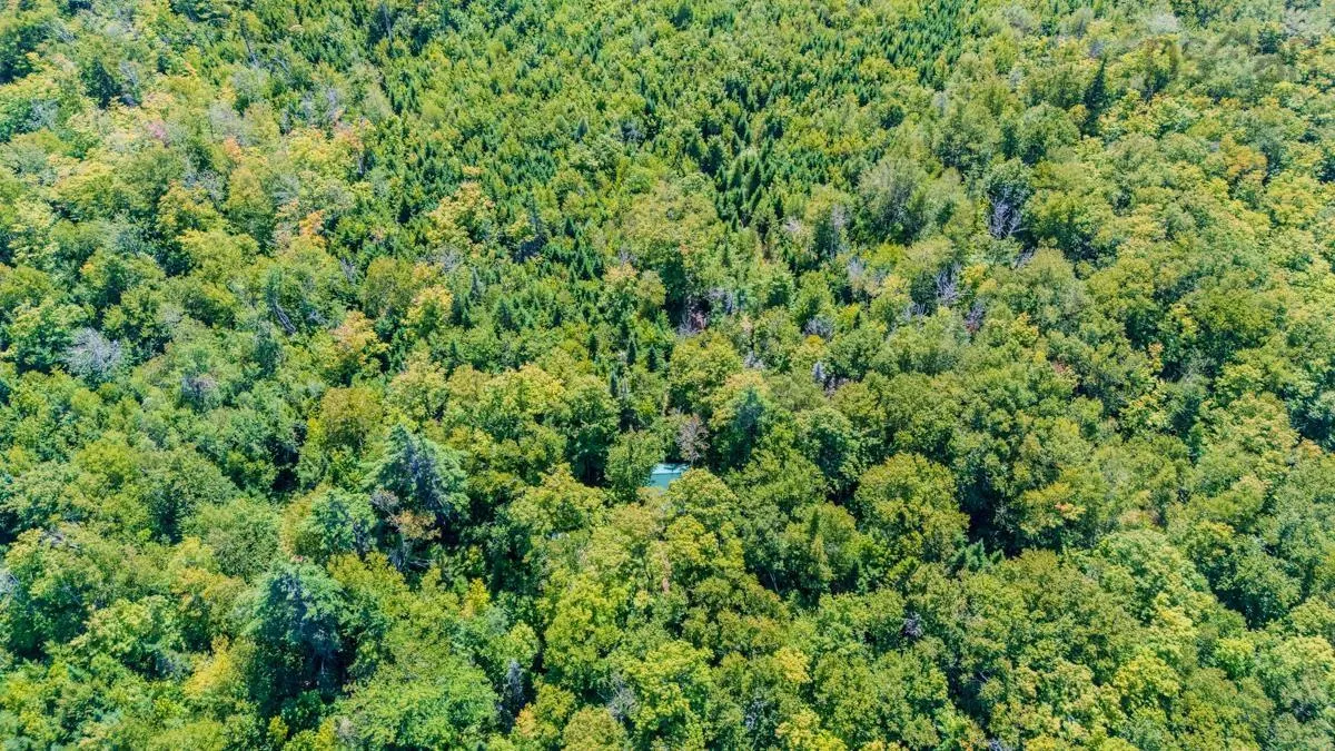 Old Debert Rd, New Annan, NS B0K 1V0, ,Land,For Sale,Old Debert Rd,202522608