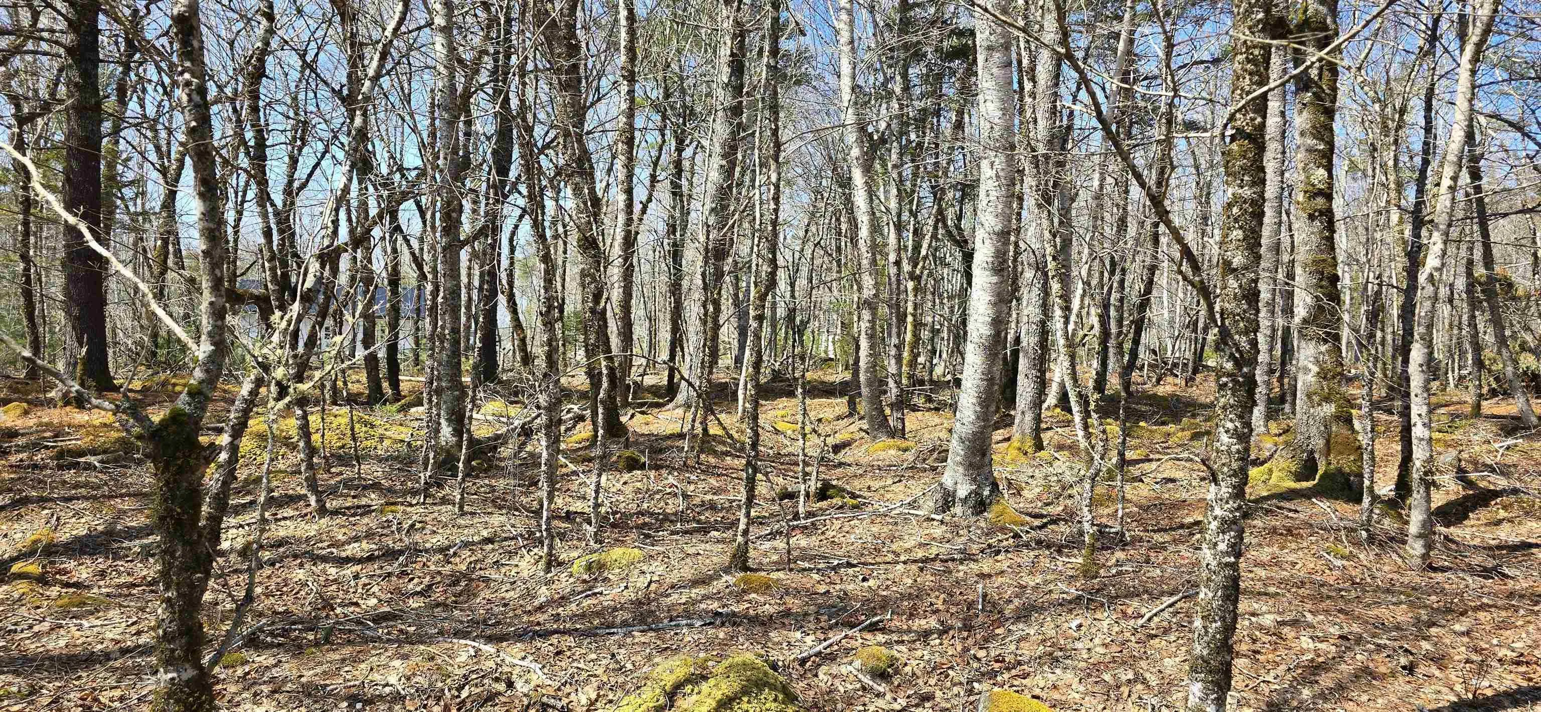 69 Sparkling Spring Lane, Labelle Ns B0t 1e0, ,Land,For Sale,Sparkling Spring,202506925