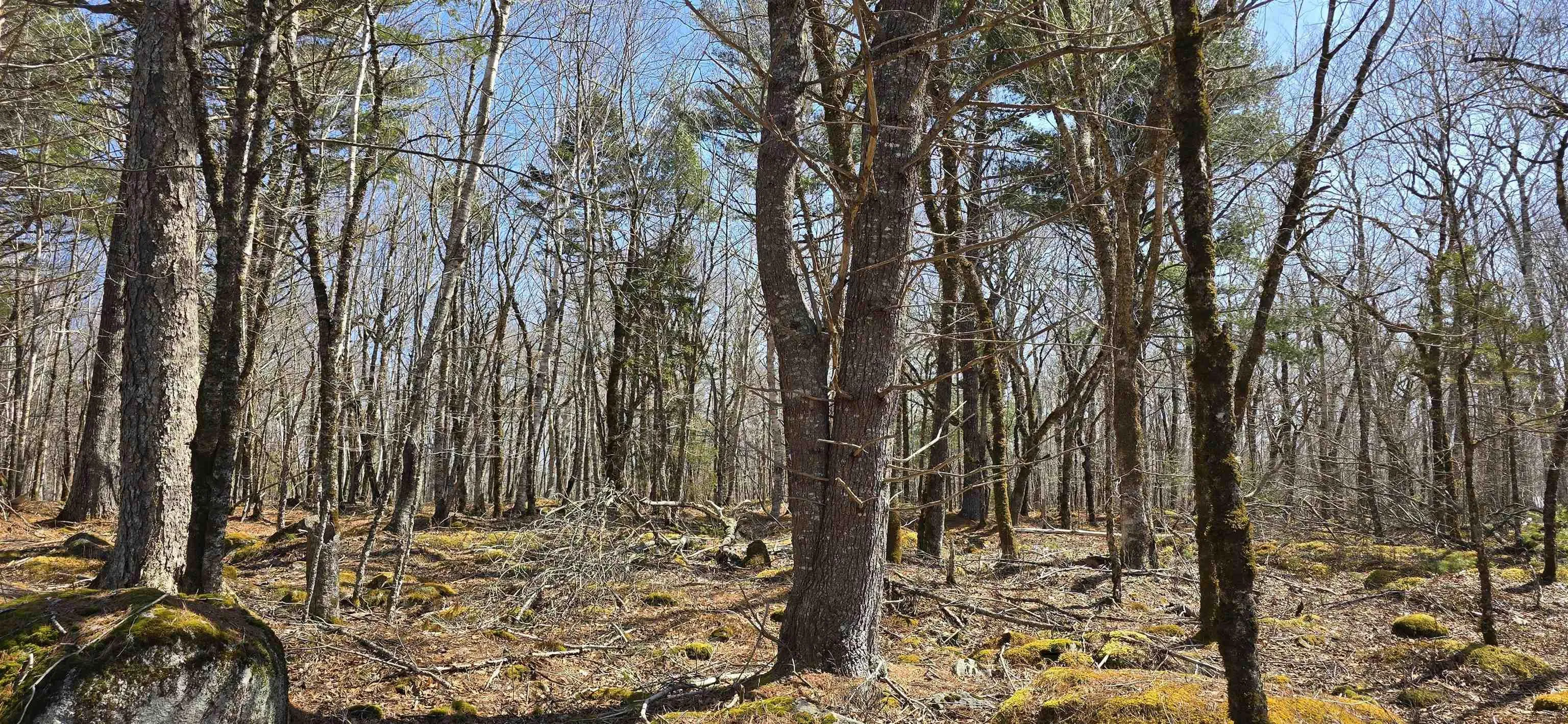 69 Sparkling Spring Lane, Labelle Ns B0t 1e0, ,Land,For Sale,Sparkling Spring,202506925