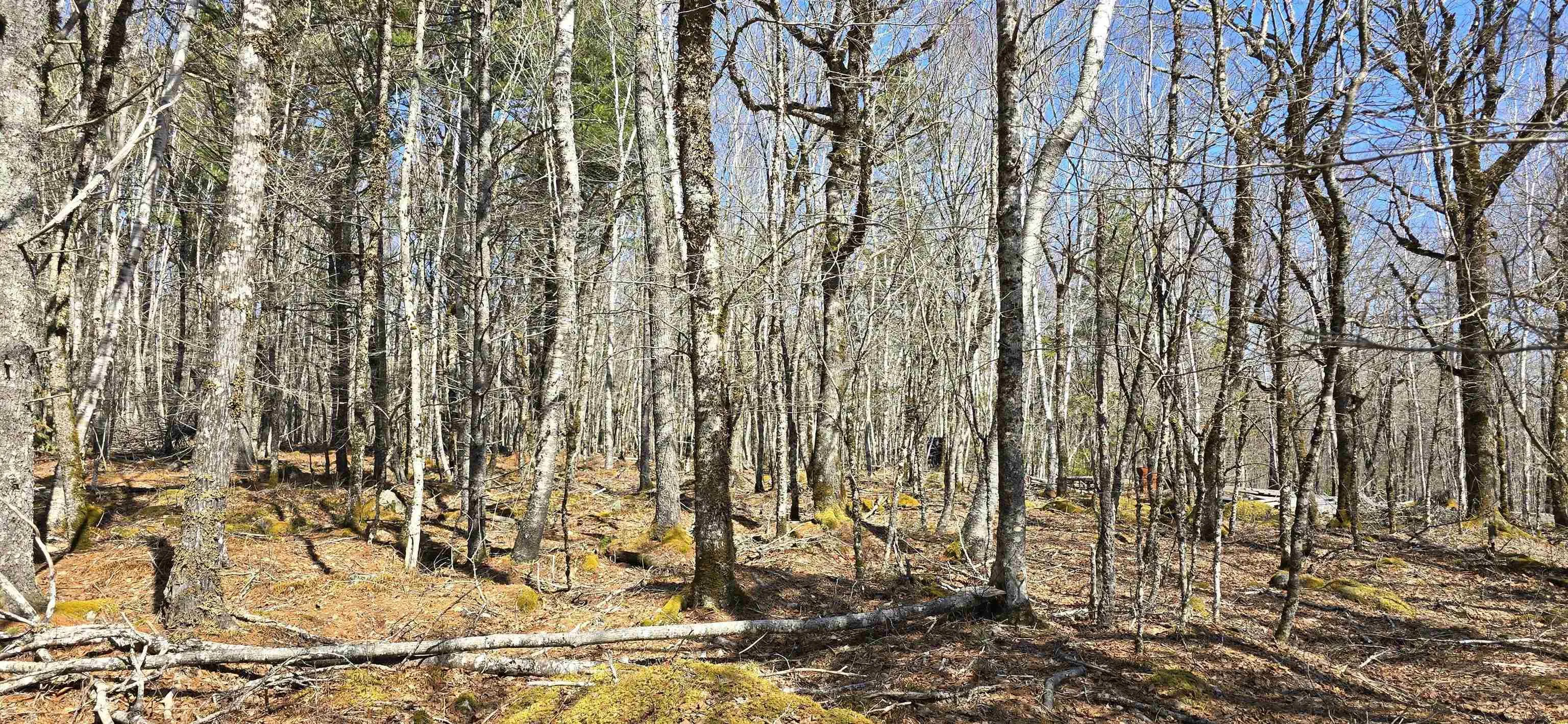 69 Sparkling Spring Lane, Labelle Ns B0t 1e0, ,Land,For Sale,Sparkling Spring,202506925