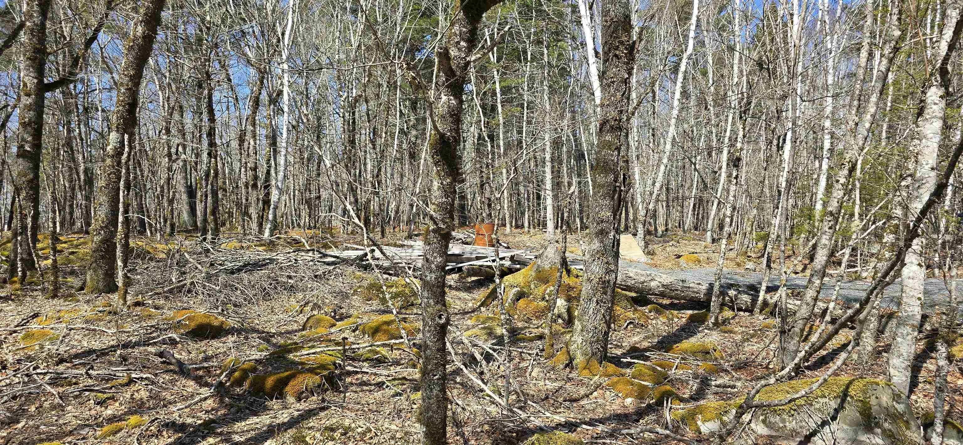 69 Sparkling Spring Lane, Labelle Ns B0t 1e0, ,Land,For Sale,Sparkling Spring,202506925